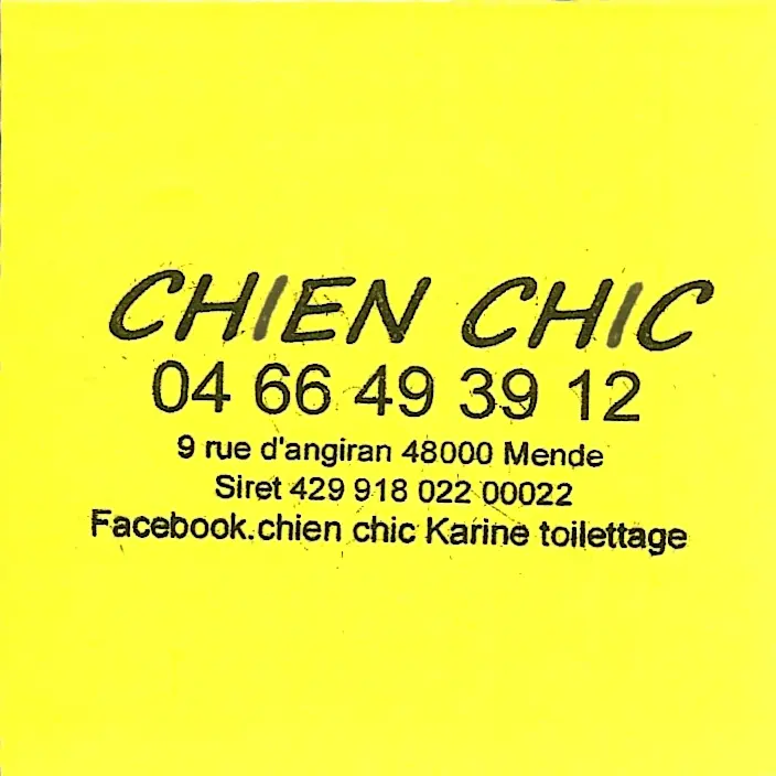 Chien Chic