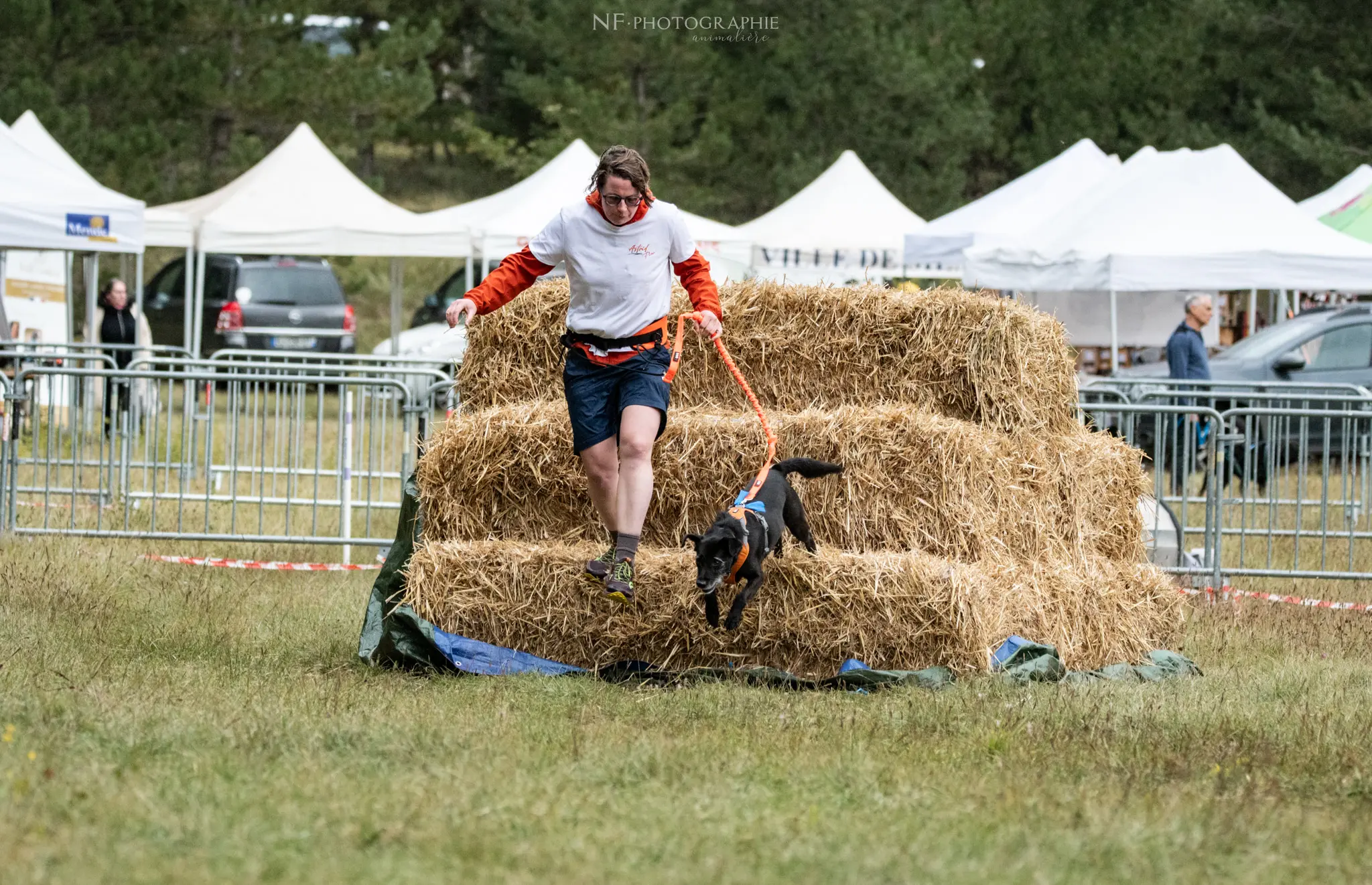 Cani-Parcours - Édition 2024 - Canifun