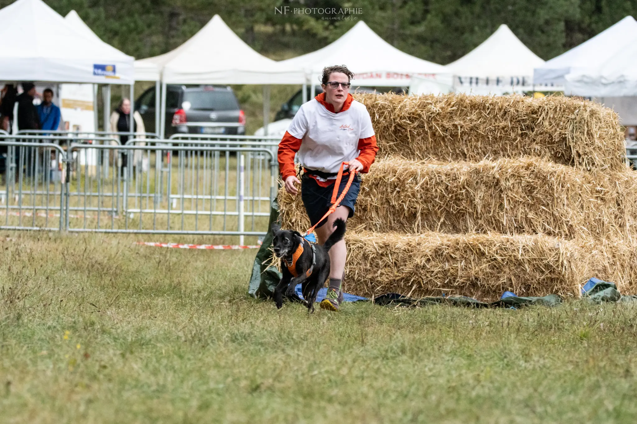 Cani-Parcours - Édition 2024 - Canifun