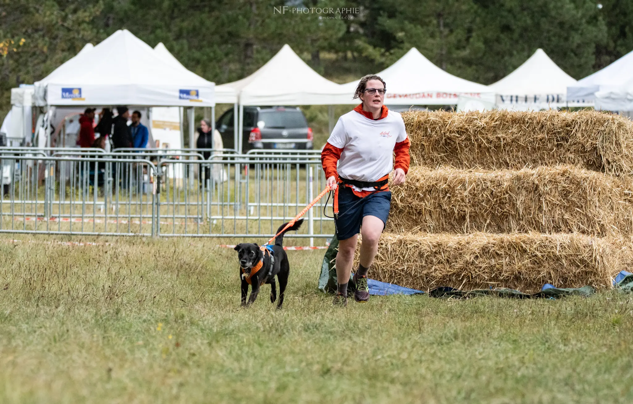 Cani-Parcours - Édition 2024 - Canifun