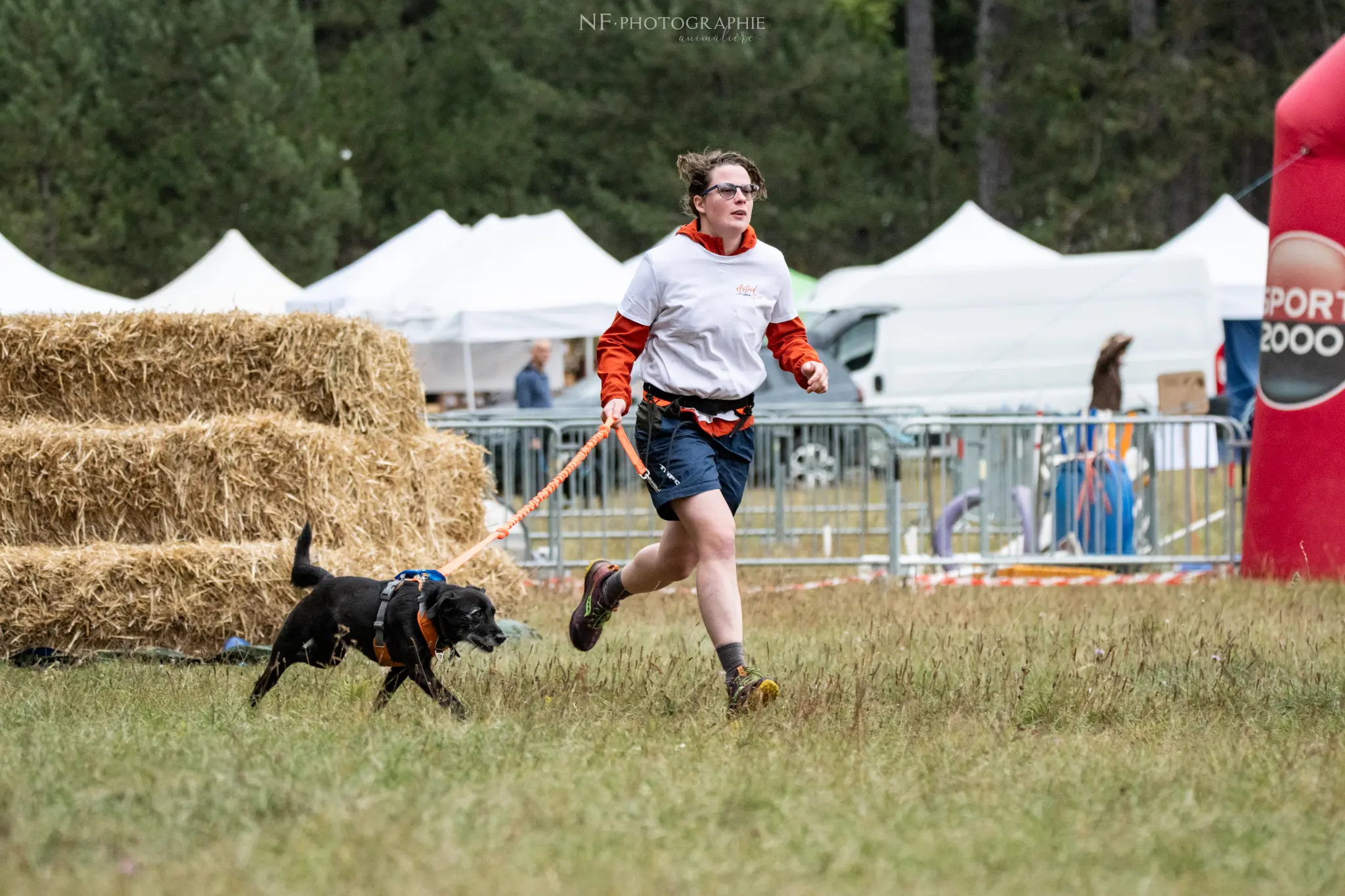 Cani-Parcours - Édition 2024 - Canifun