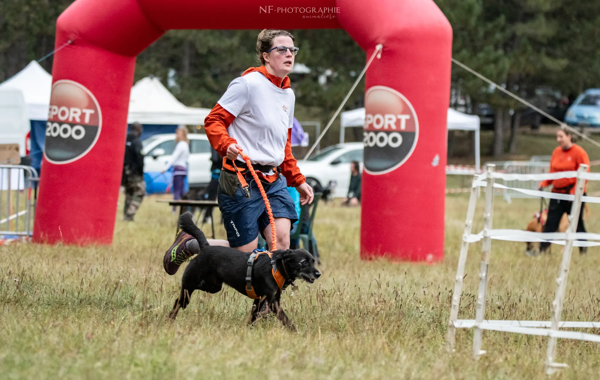 Cani-Parcours - Édition 2024 - Canifun