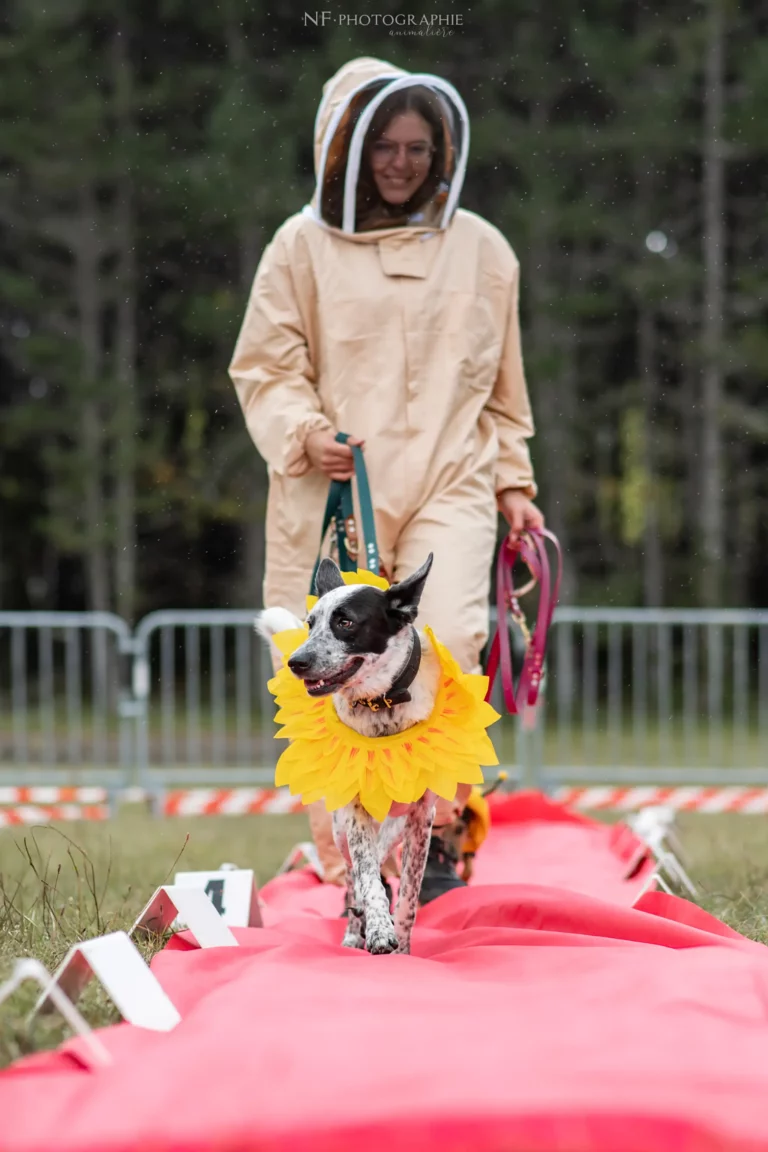 Défilé de Déguisements - Édition 2024 - Canifun