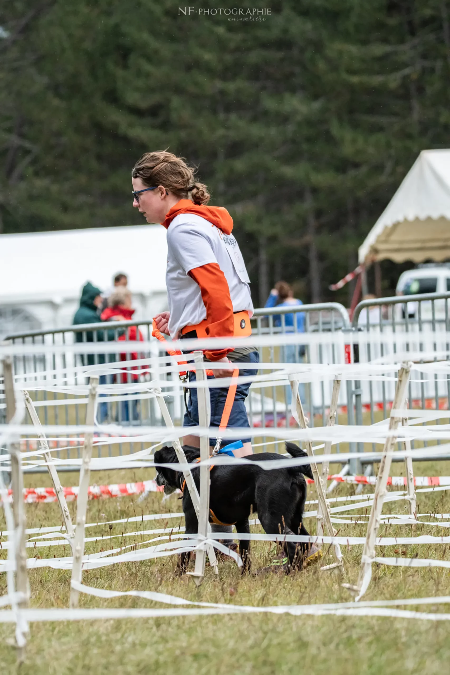 Cani-Parcours - Édition 2024 - Canifun