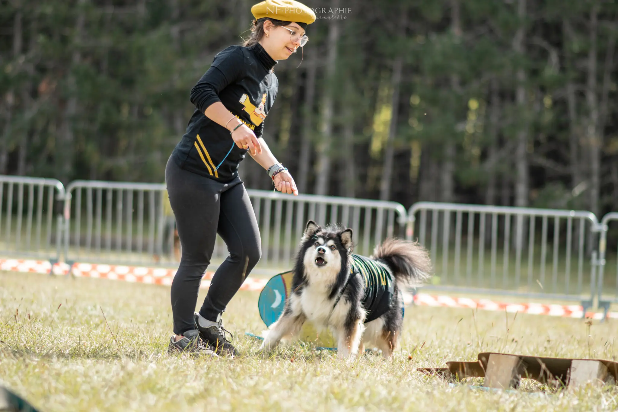 Dog Dancing - Édition 2024 - Canifun