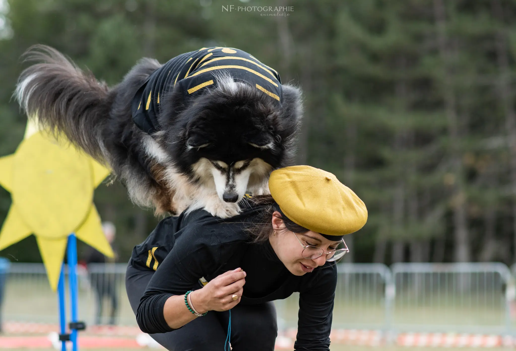 Dog Dancing - Édition 2024 - Canifun