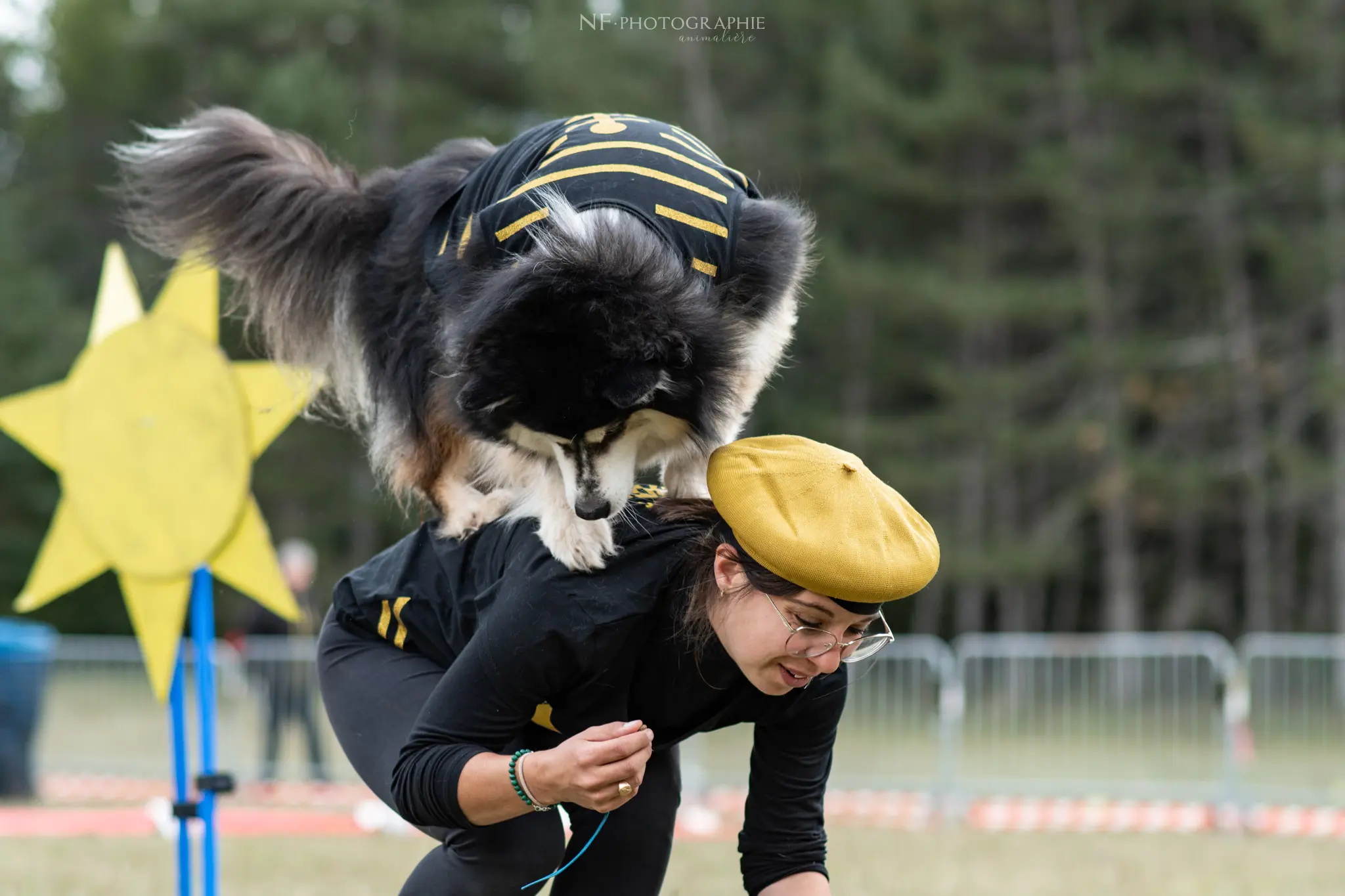 Dog Dancing - Édition 2024 - Canifun