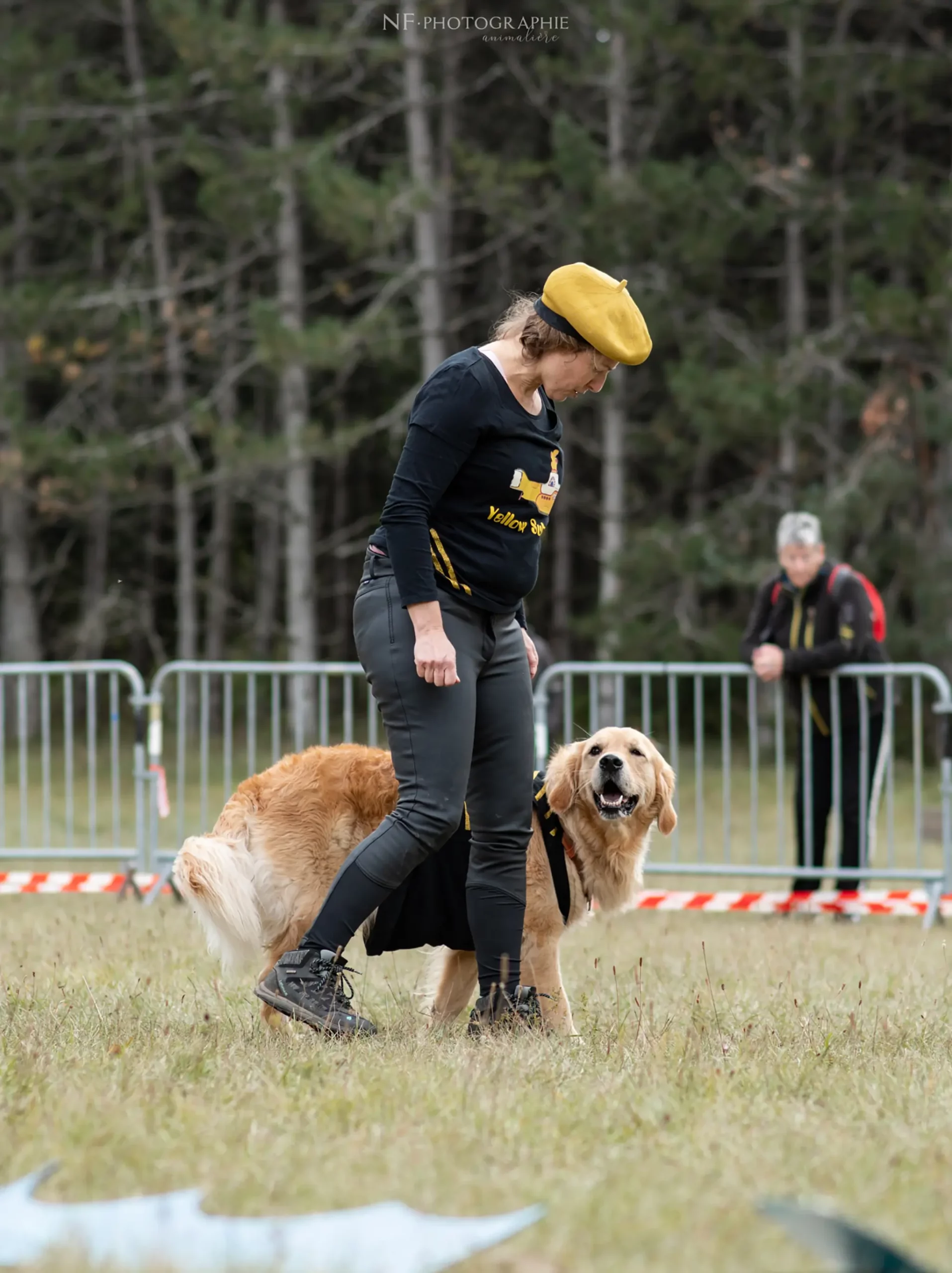 Dog Dancing - Édition 2024 - Canifun