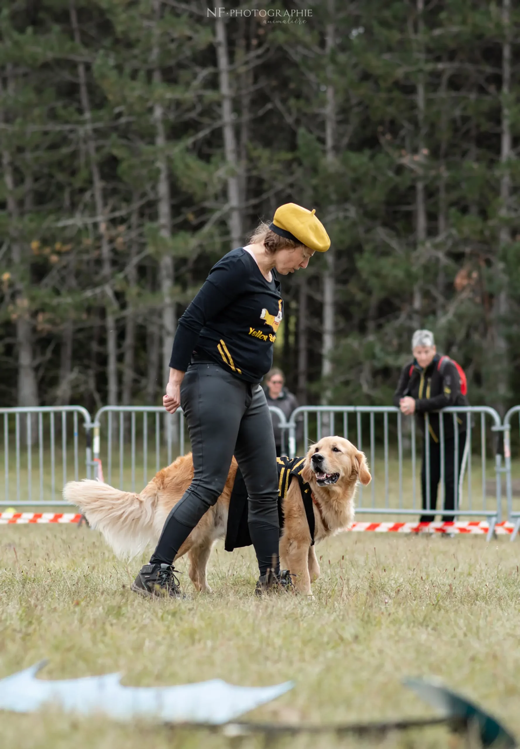 Dog Dancing - Édition 2024 - Canifun