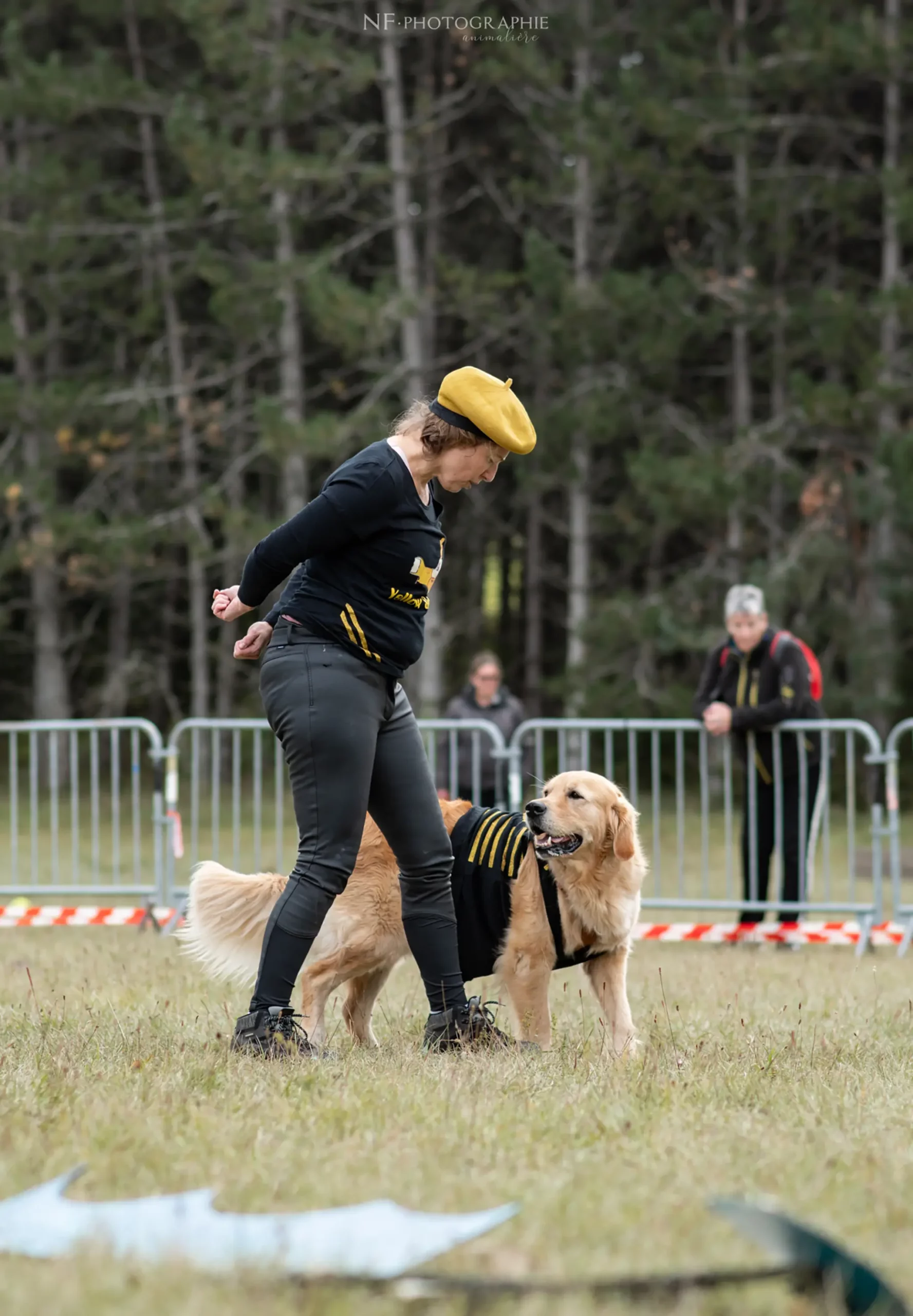 Dog Dancing - Édition 2024 - Canifun