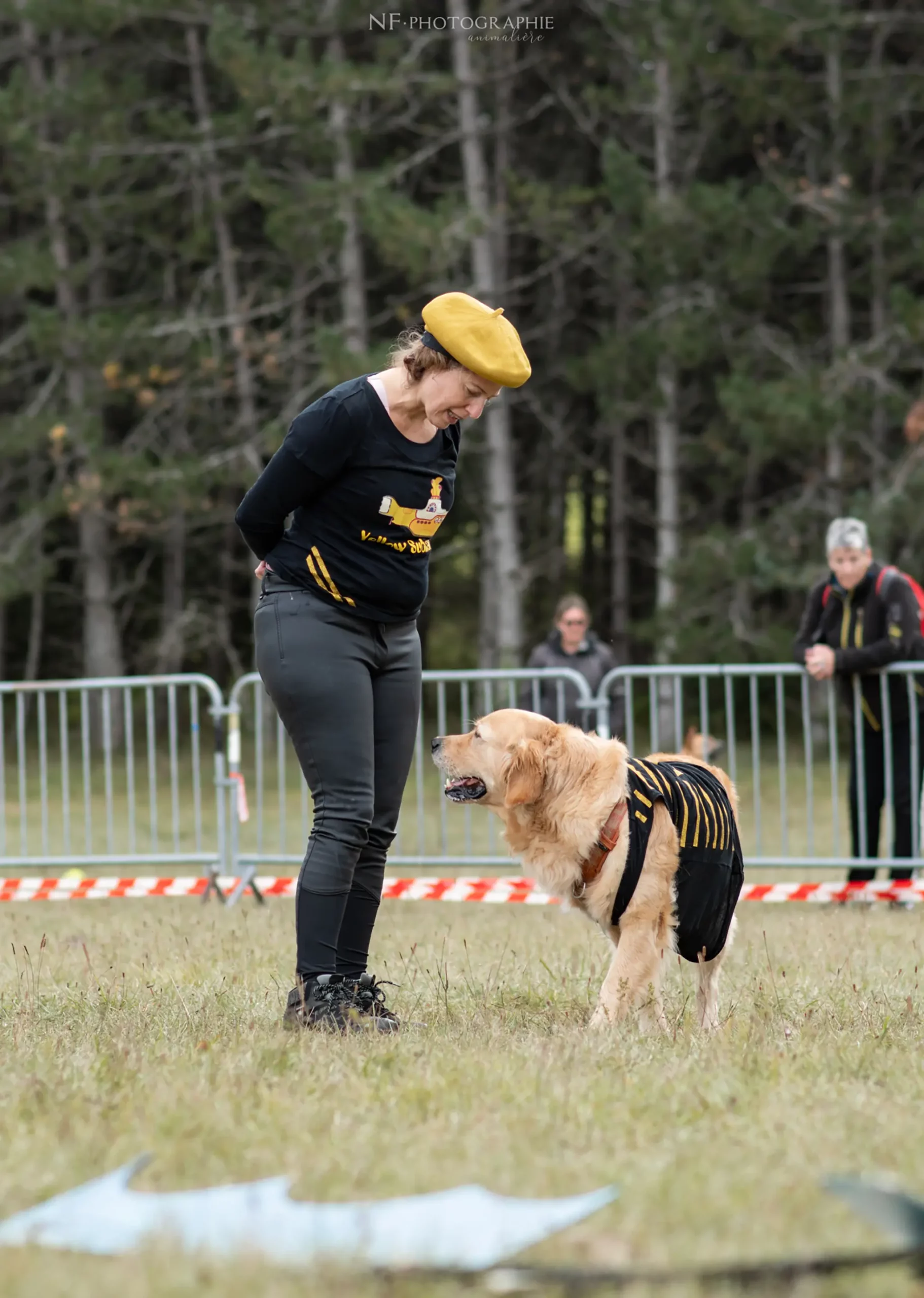 Dog Dancing - Édition 2024 - Canifun