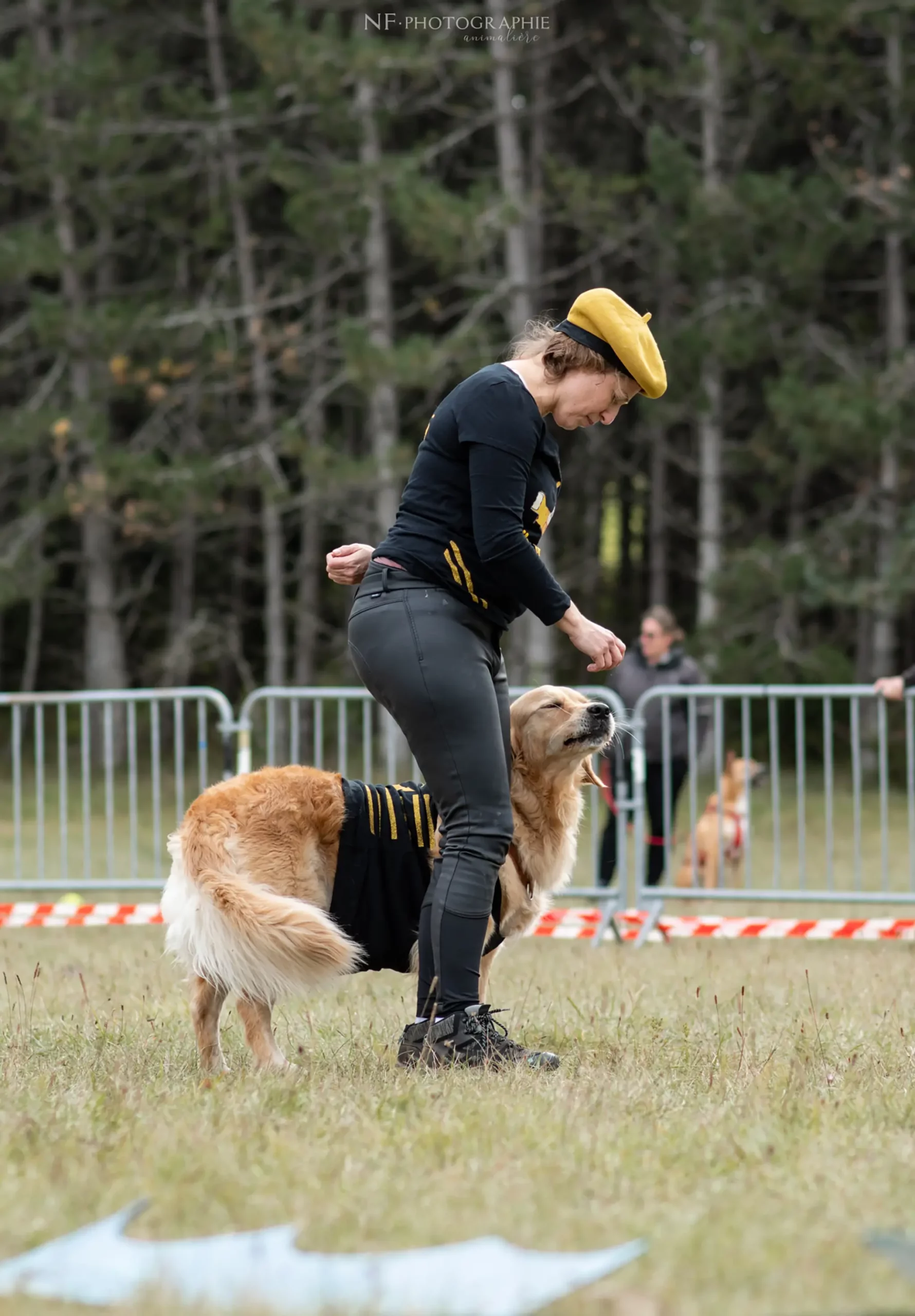 Dog Dancing - Édition 2024 - Canifun