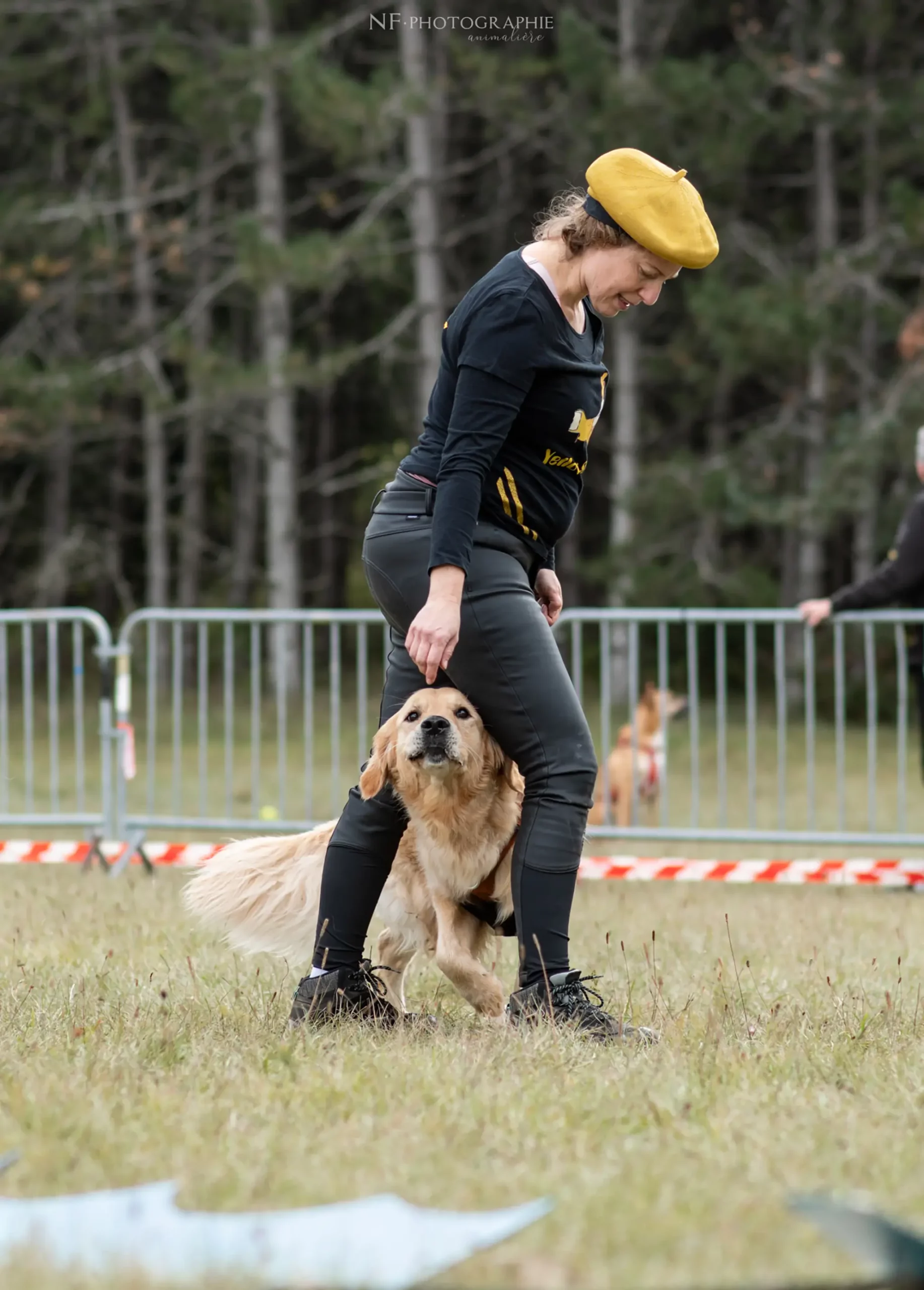 Dog Dancing - Édition 2024 - Canifun