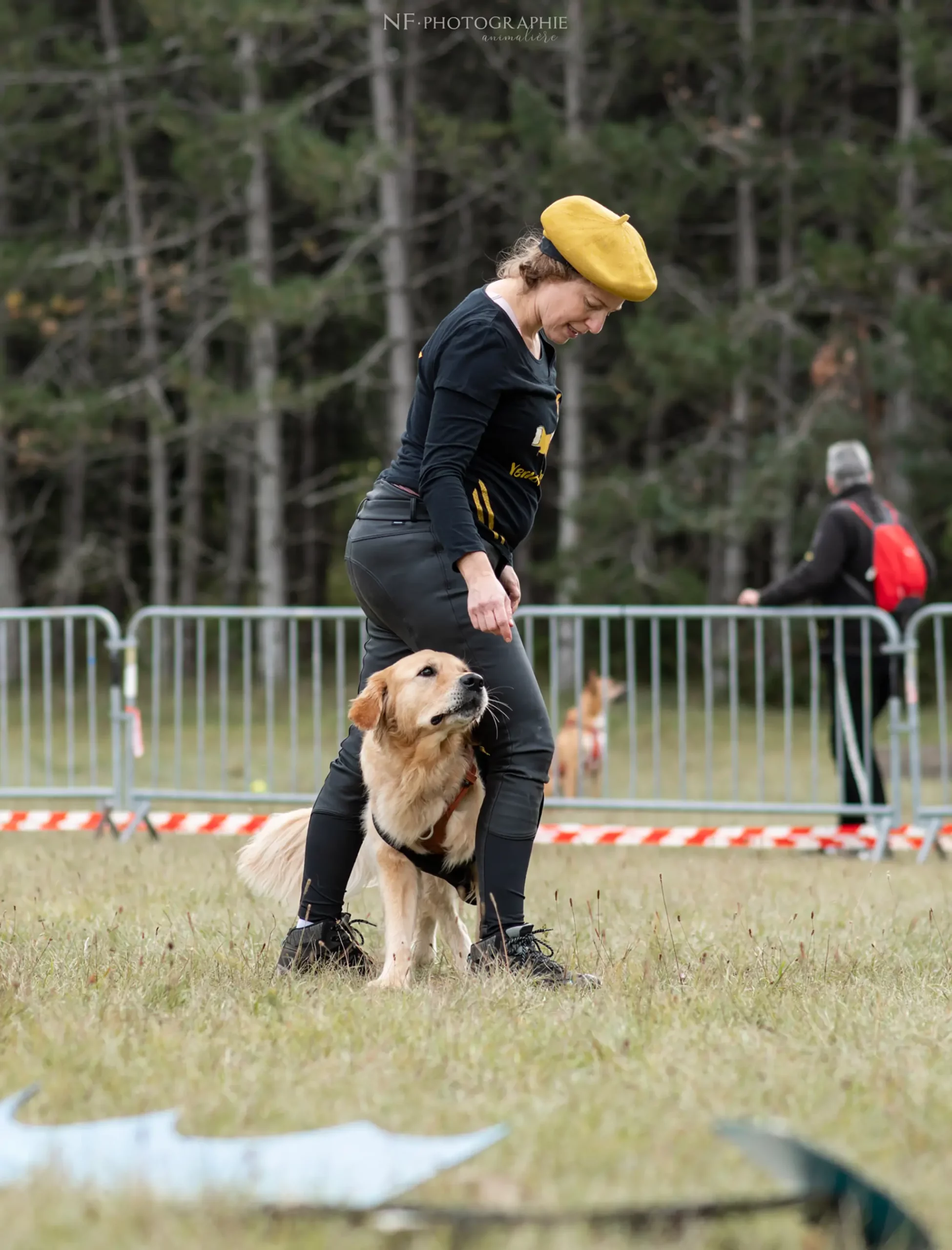 Dog Dancing - Édition 2024 - Canifun