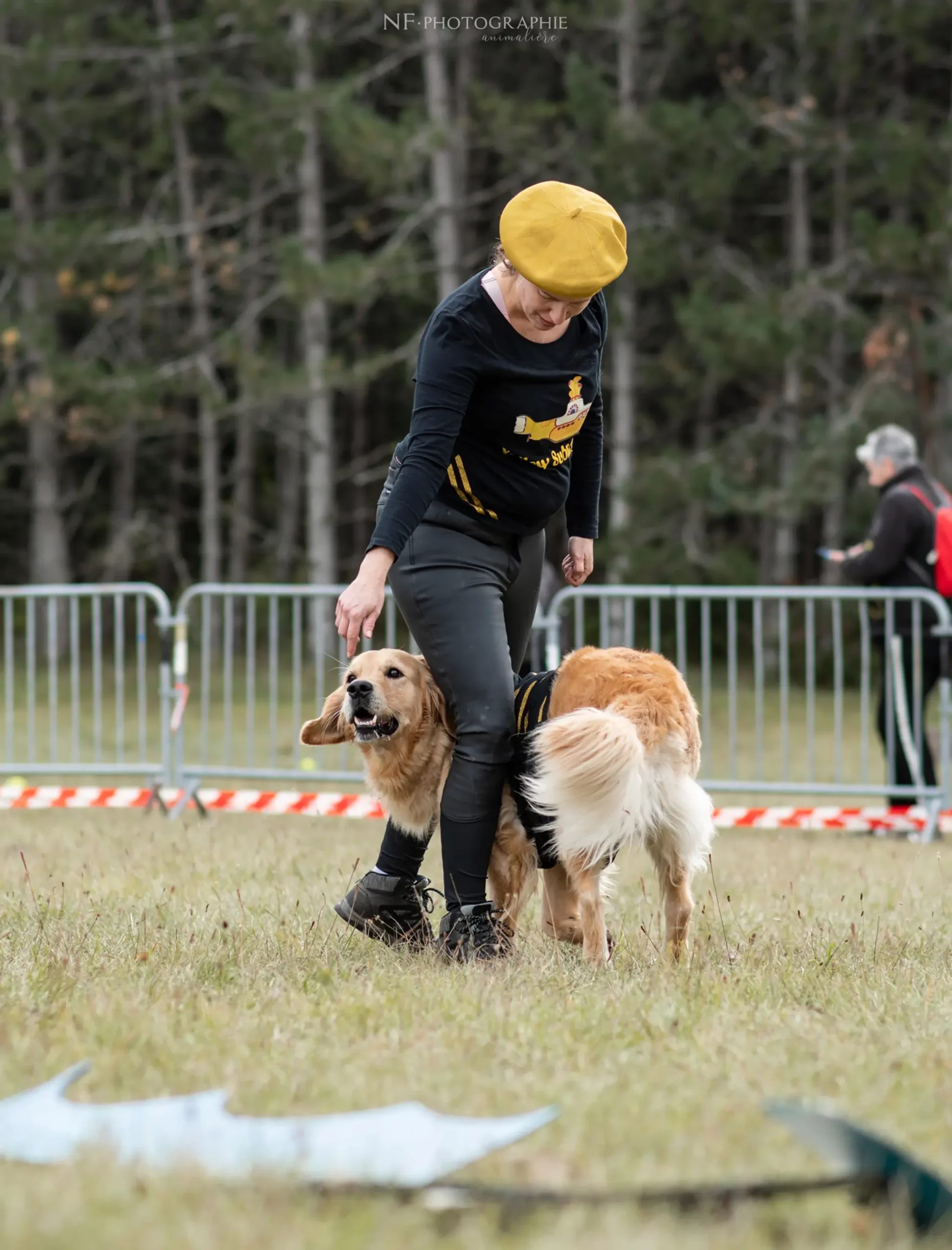 Dog Dancing - Édition 2024 - Canifun