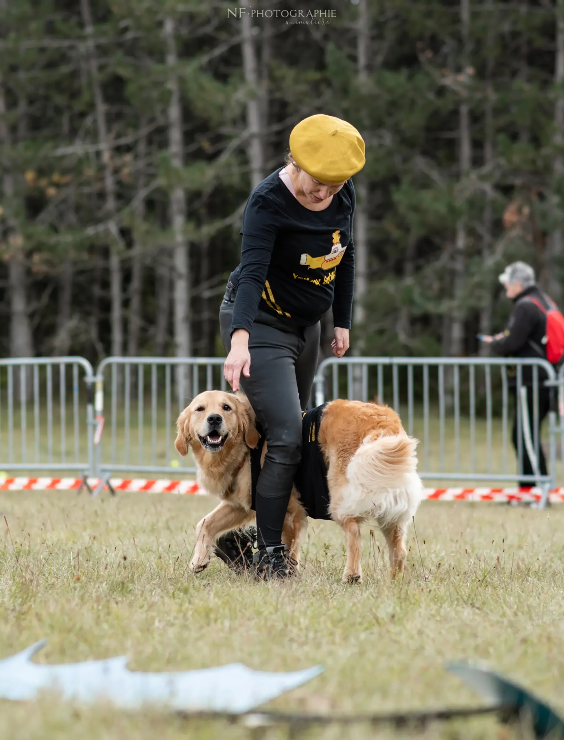 Dog Dancing - Édition 2024 - Canifun