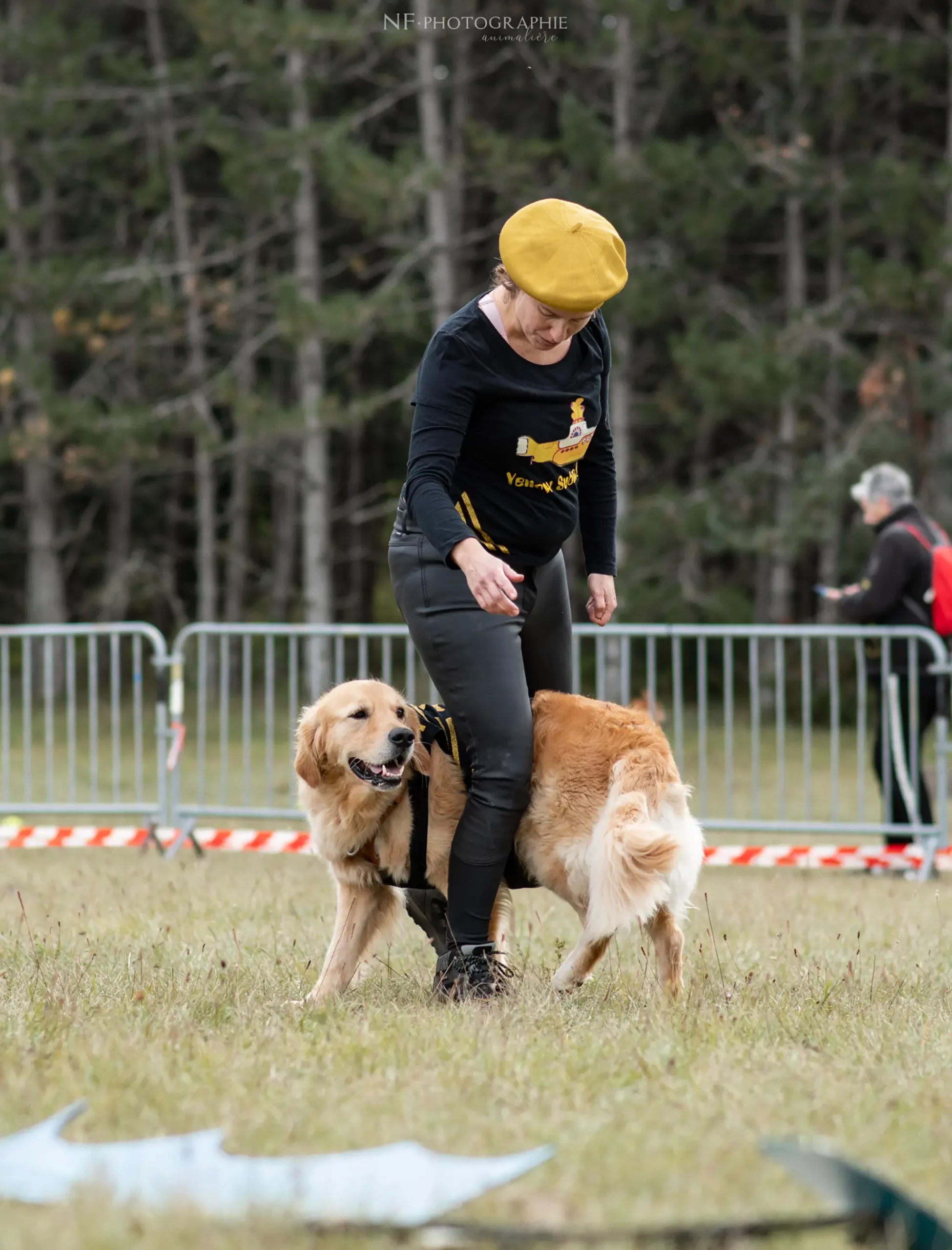 Dog Dancing - Édition 2024 - Canifun