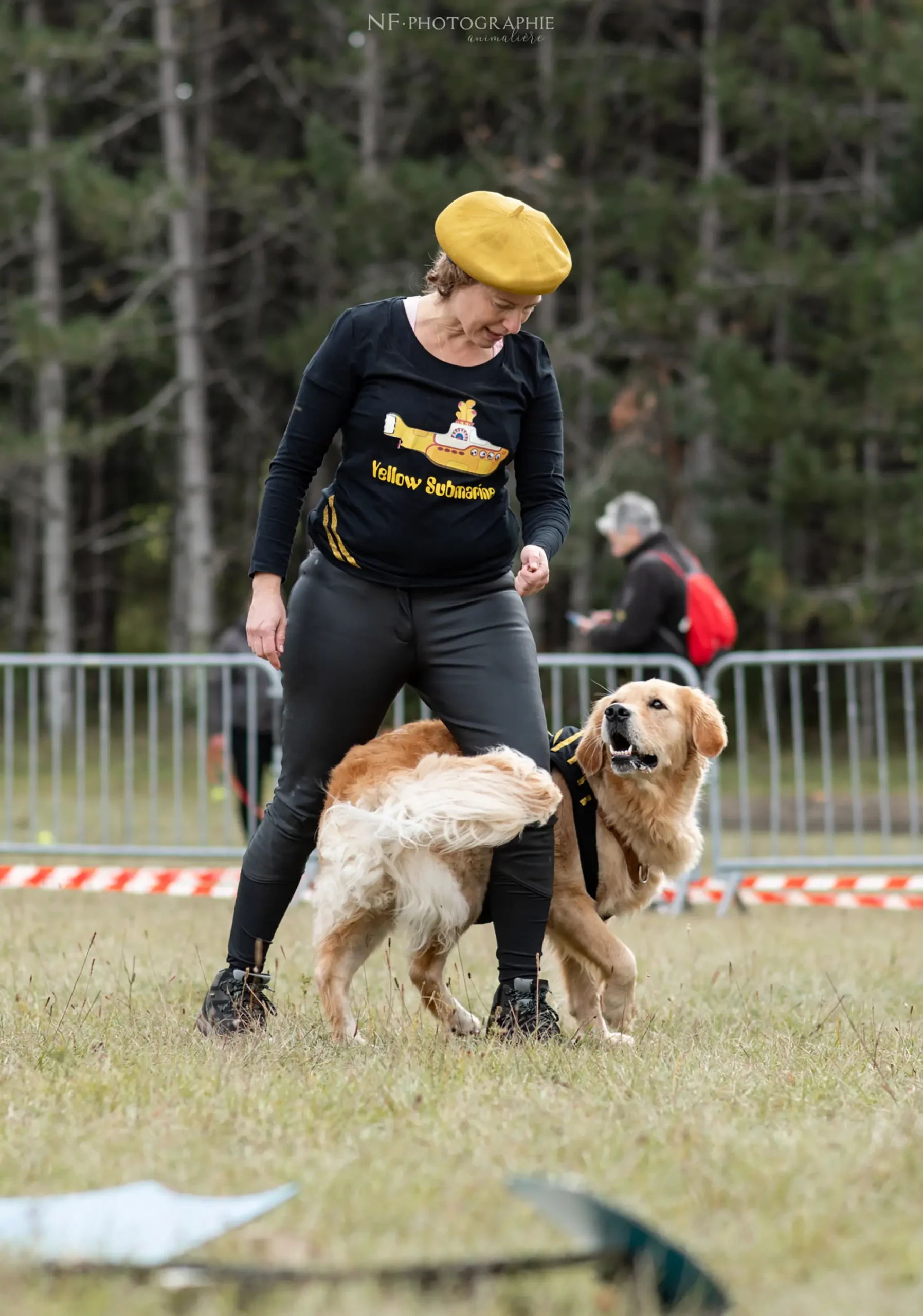 Dog Dancing - Édition 2024 - Canifun