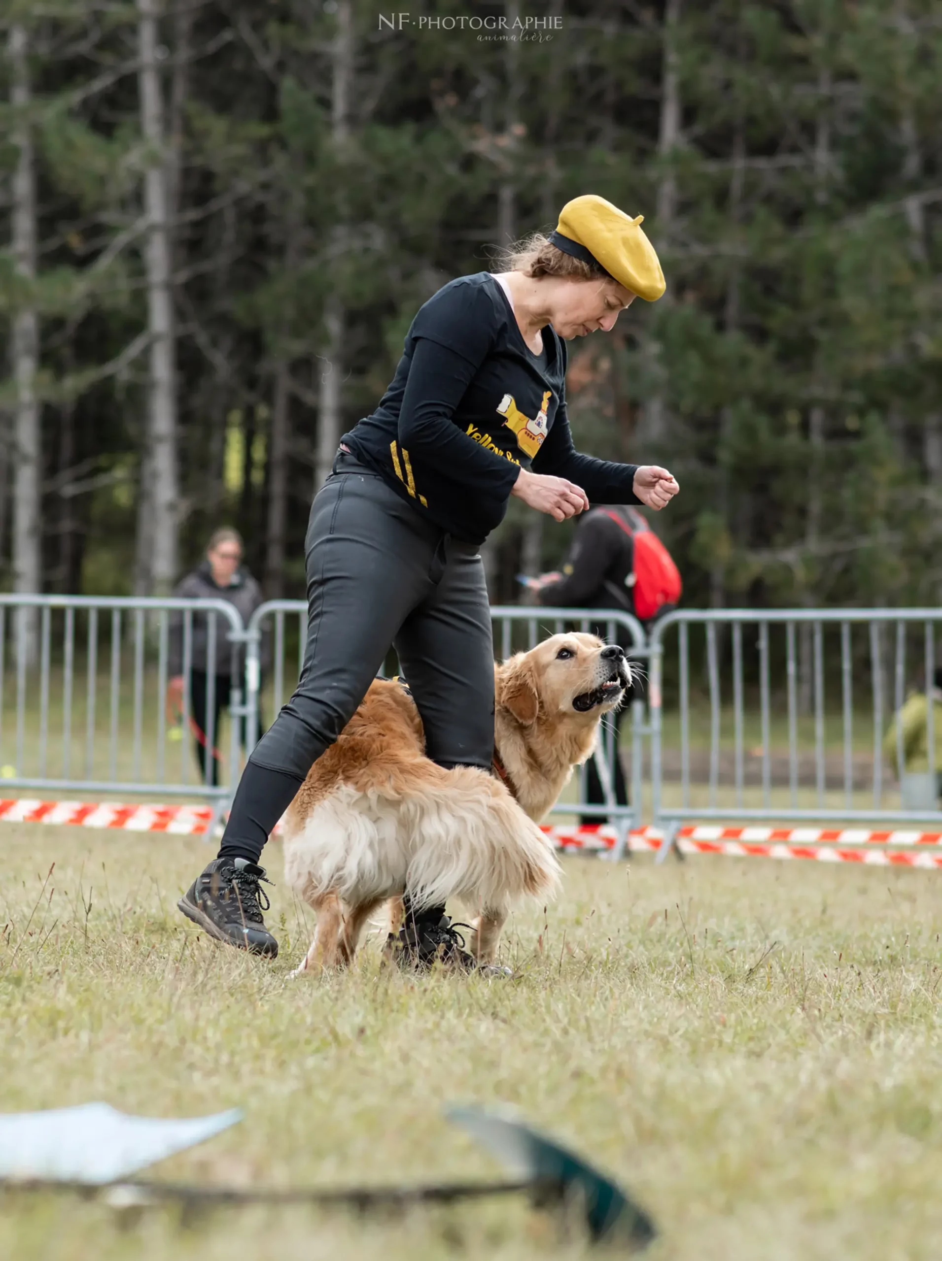 Dog Dancing - Édition 2024 - Canifun