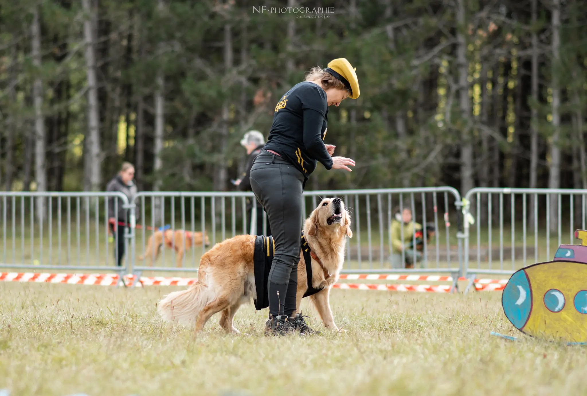 Dog Dancing - Édition 2024 - Canifun