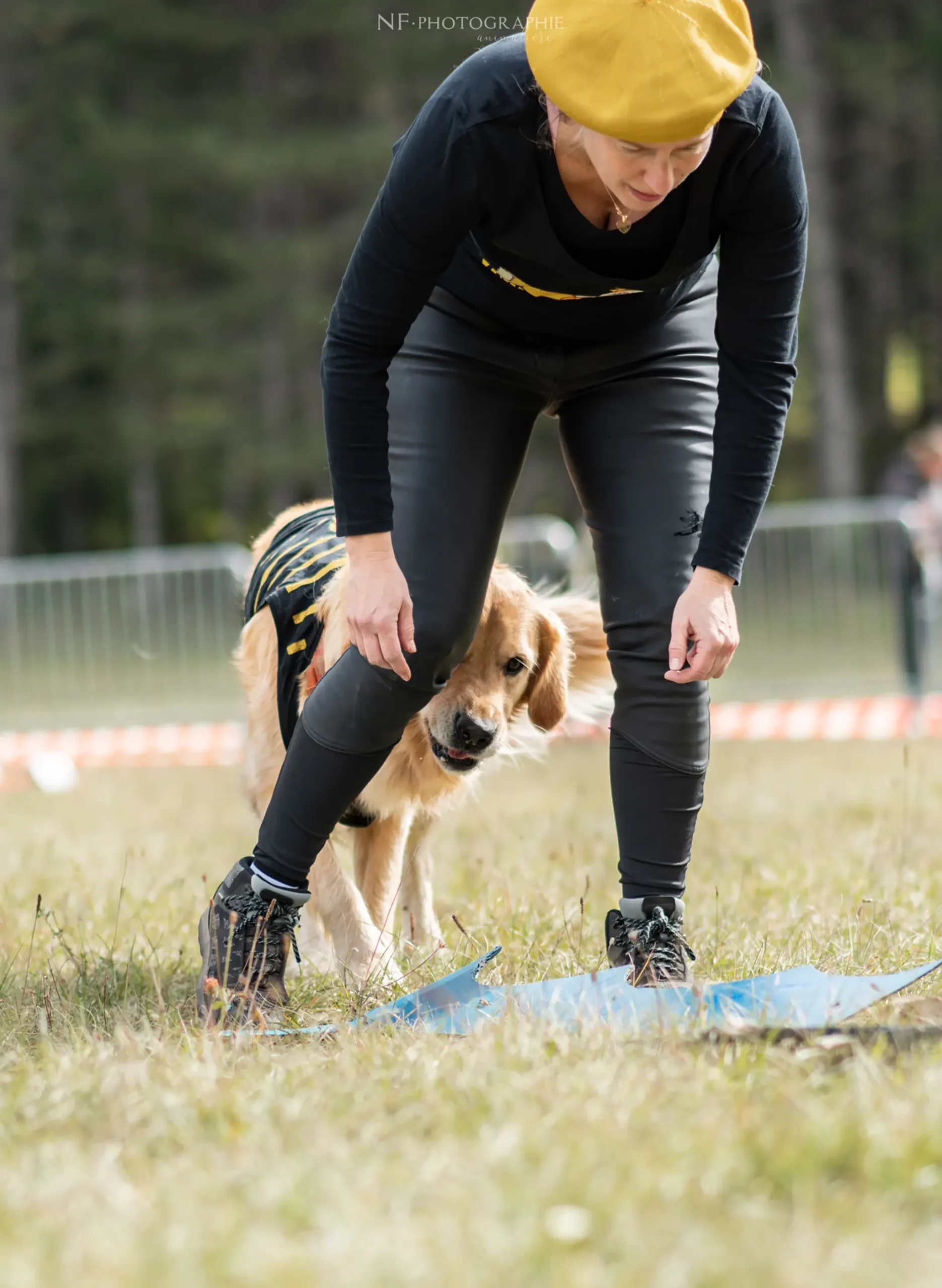 Dog Dancing - Édition 2024 - Canifun