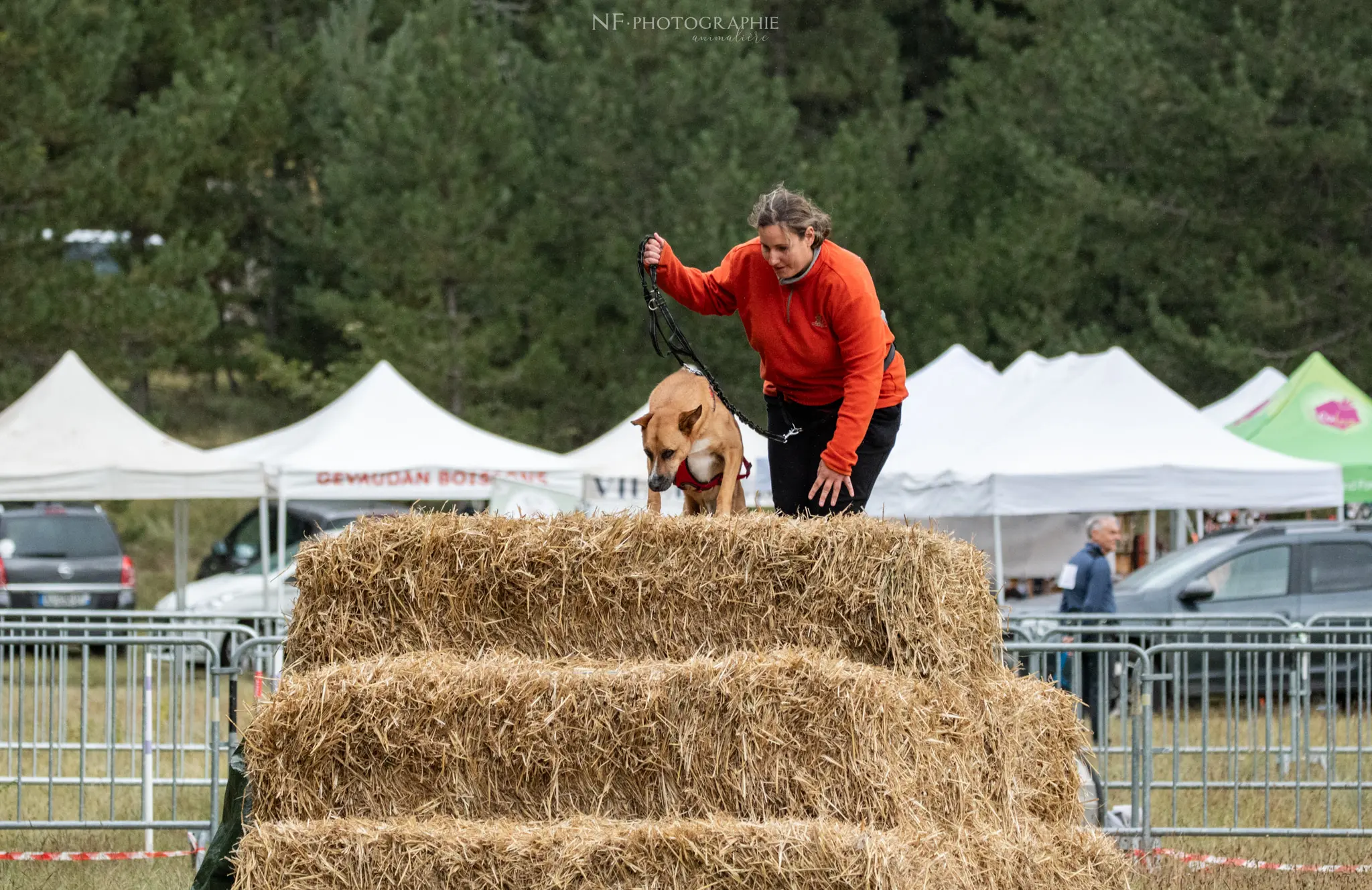 Cani-Parcours - Édition 2024 - Canifun