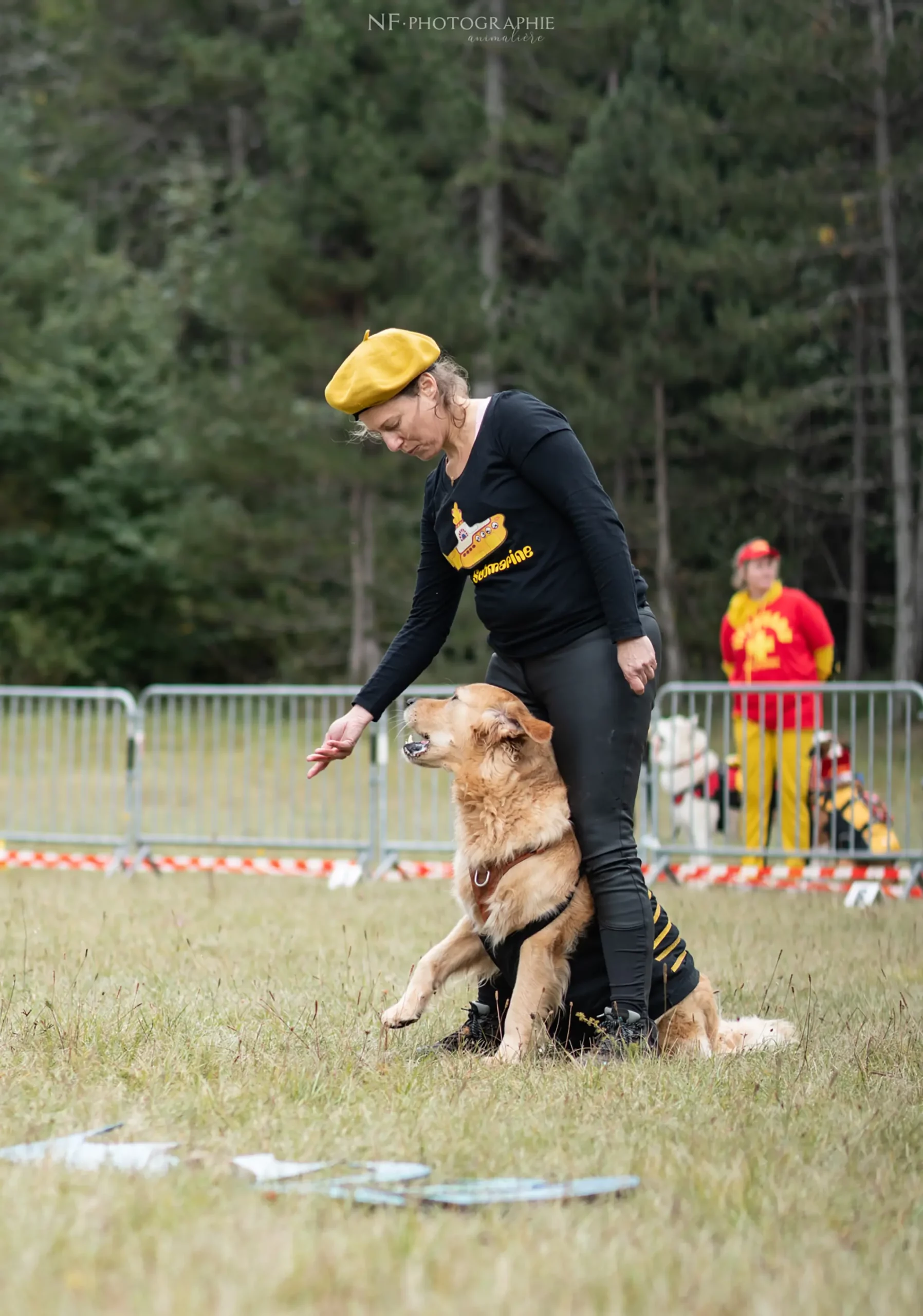 Dog Dancing - Édition 2024 - Canifun