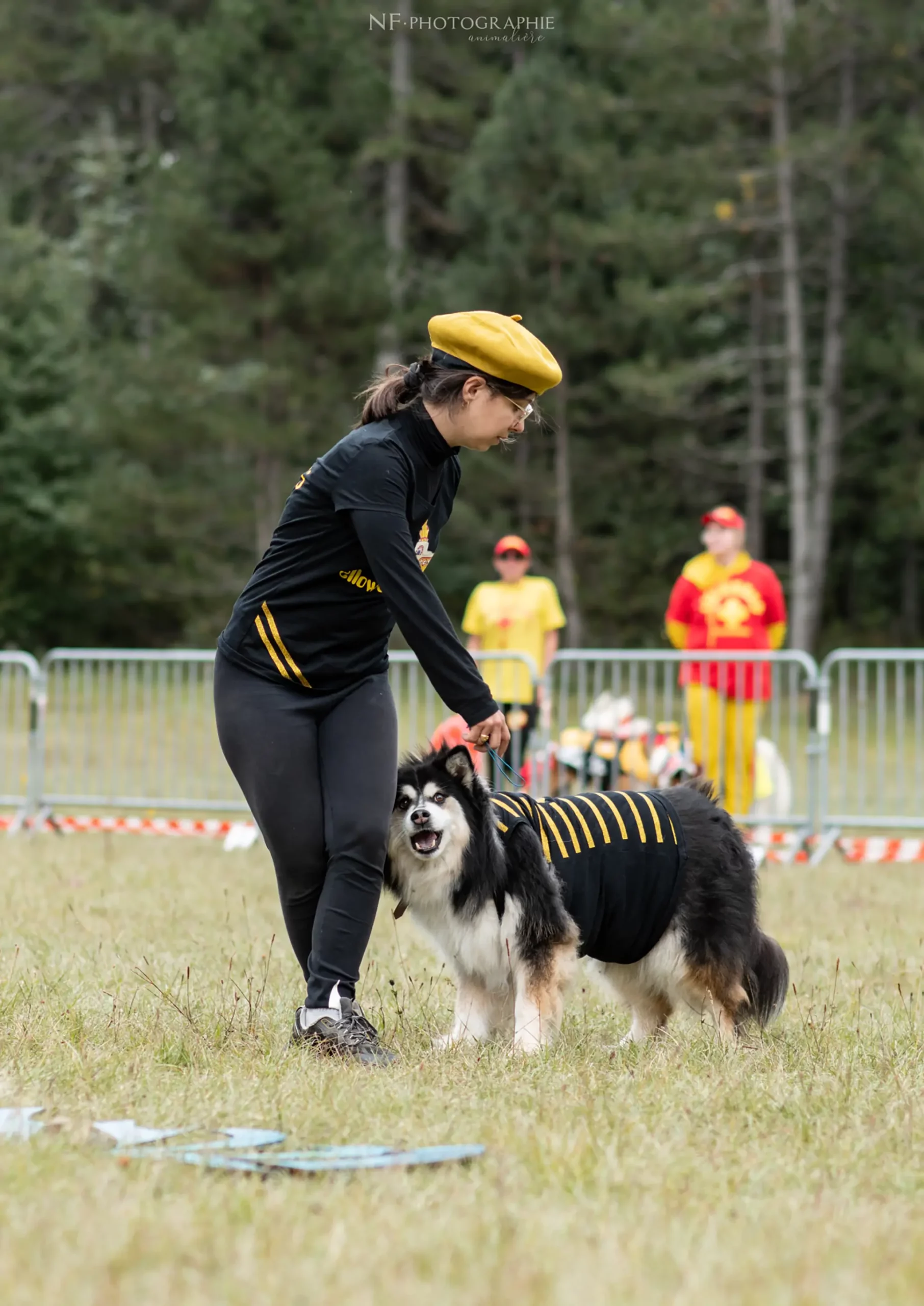 Dog Dancing - Édition 2024 - Canifun