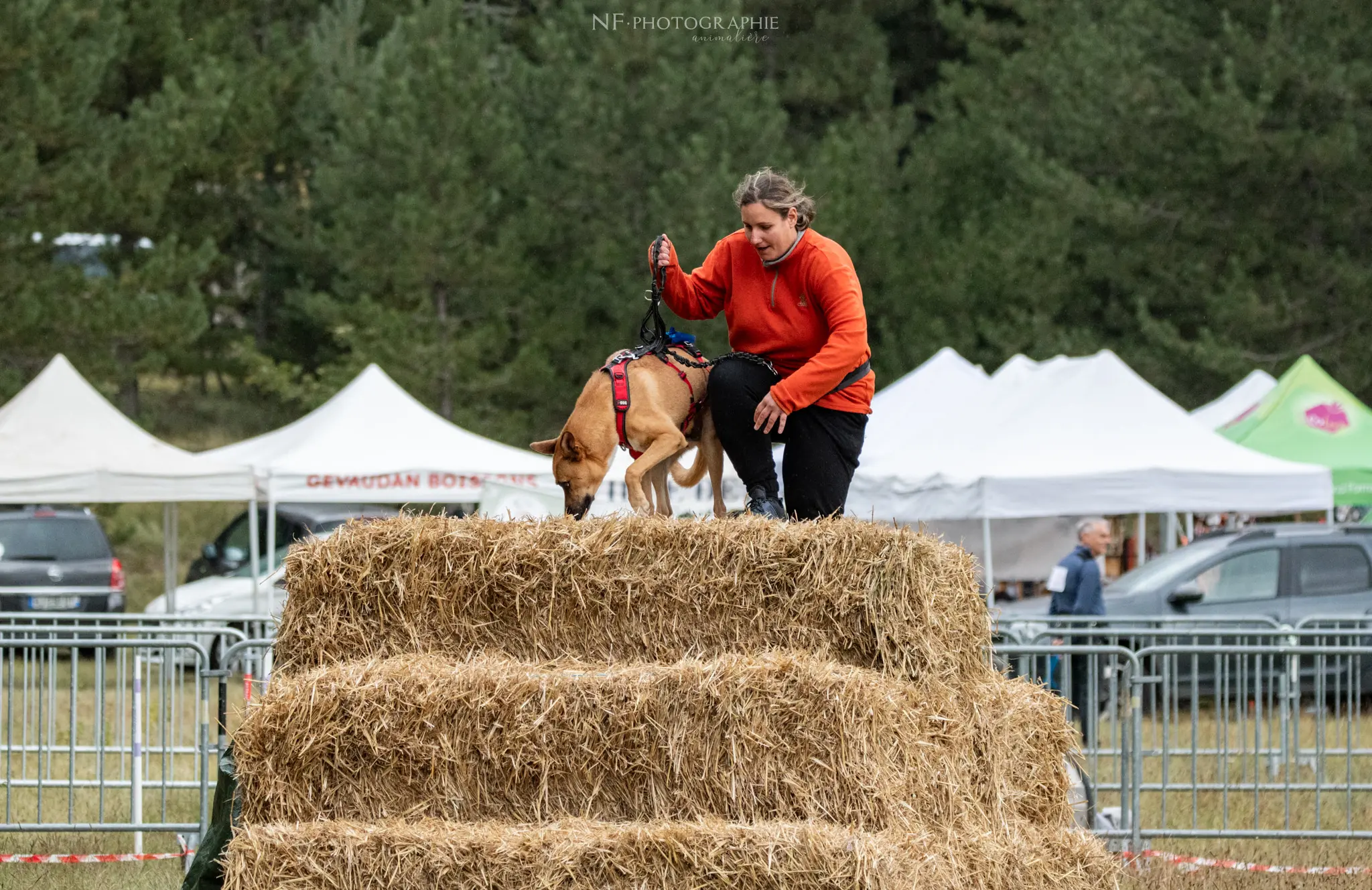 Cani-Parcours - Édition 2024 - Canifun