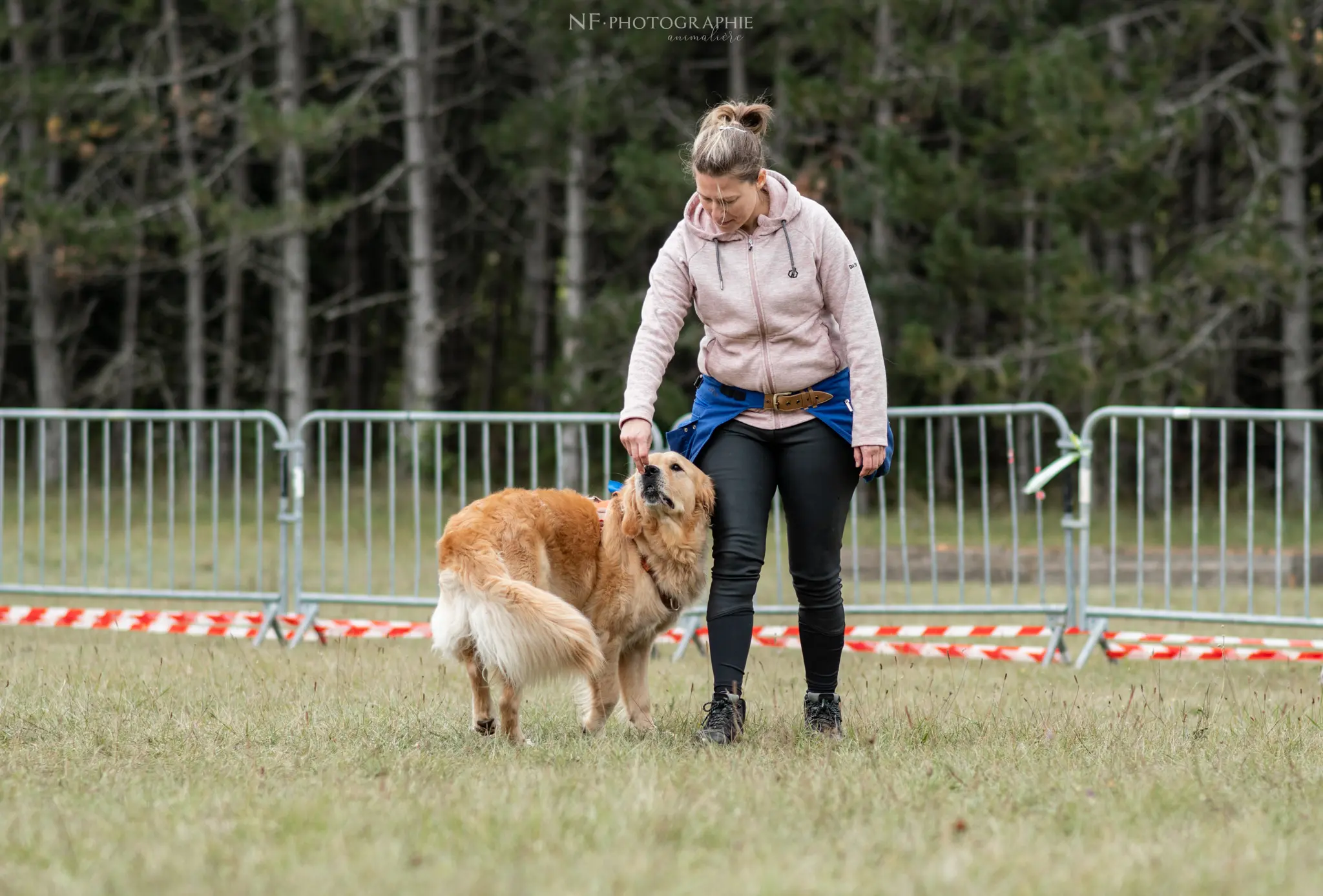 Dog Dancing - Édition 2024 - Canifun