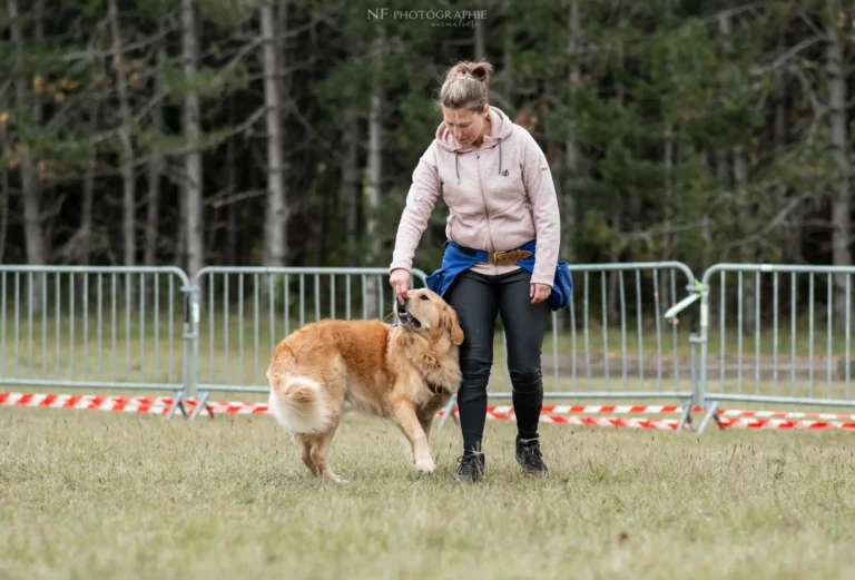 Dog Dancing - Édition 2024 - Canifun