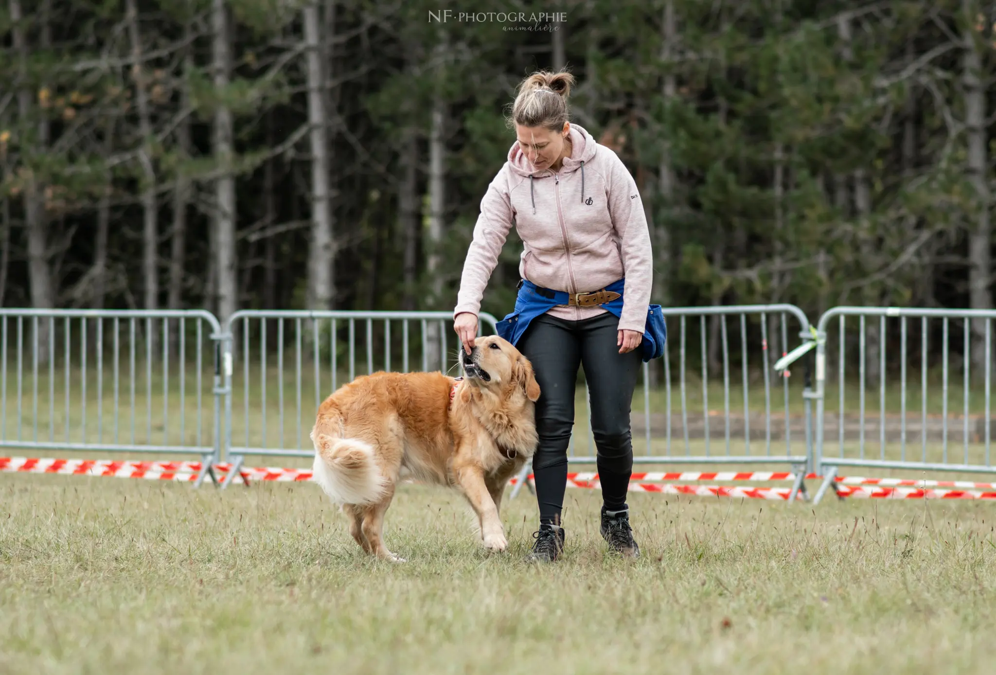 Dog Dancing - Édition 2024 - Canifun