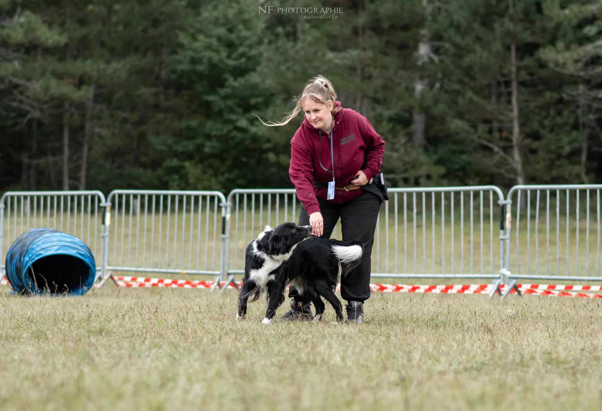 Dog Dancing - Édition 2024 - Canifun