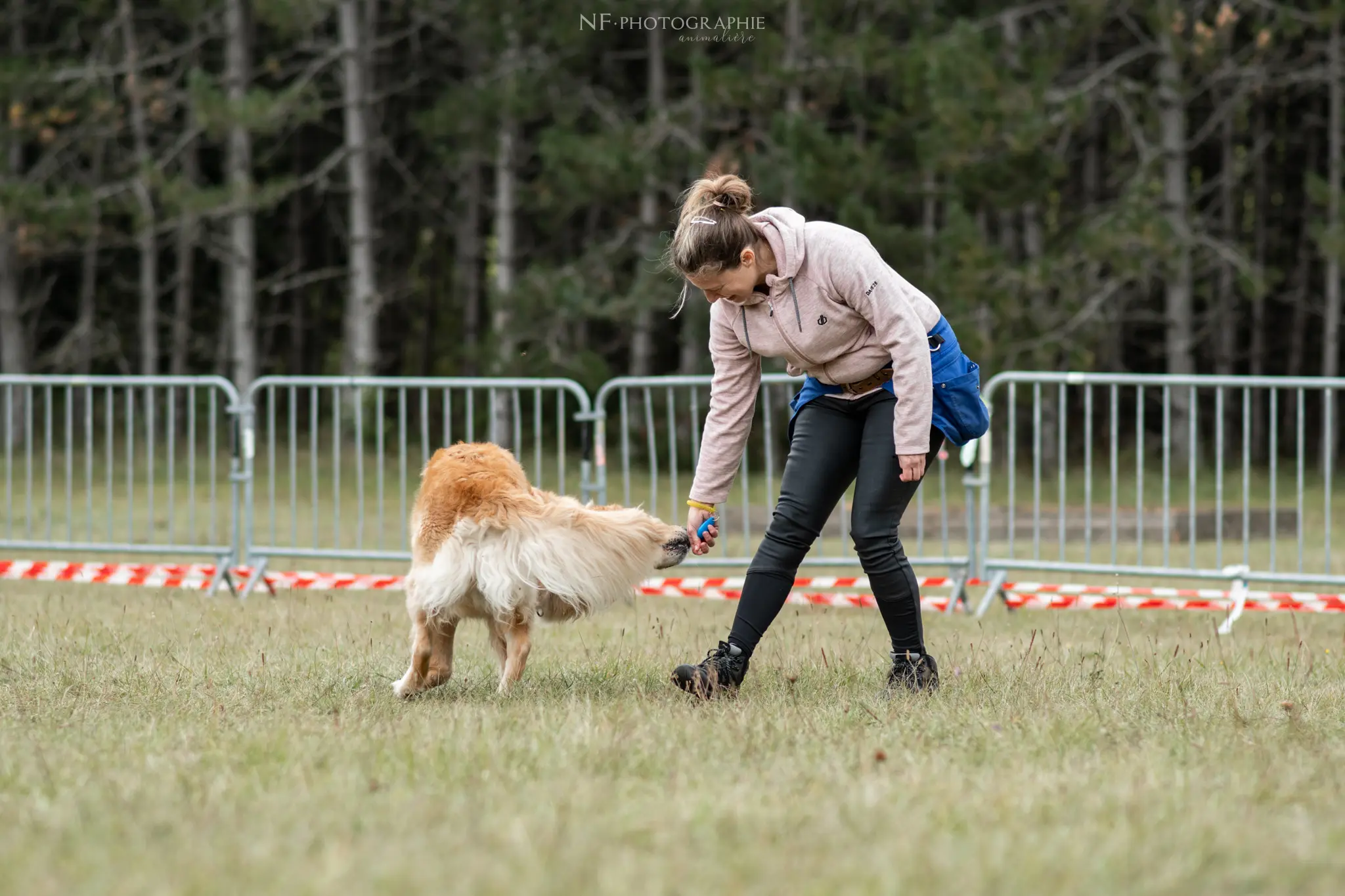 Dog Dancing - Édition 2024 - Canifun