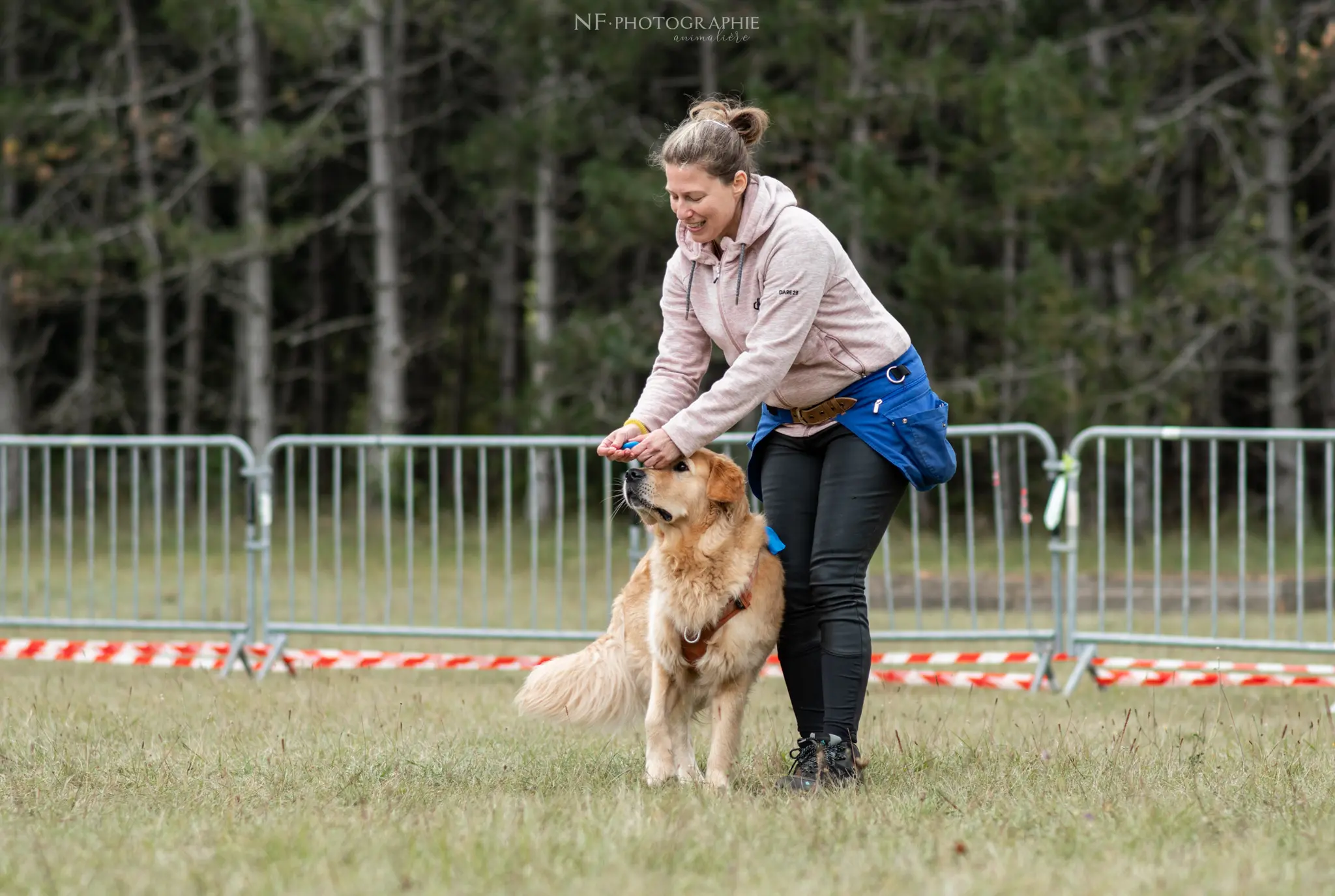 Dog Dancing - Édition 2024 - Canifun