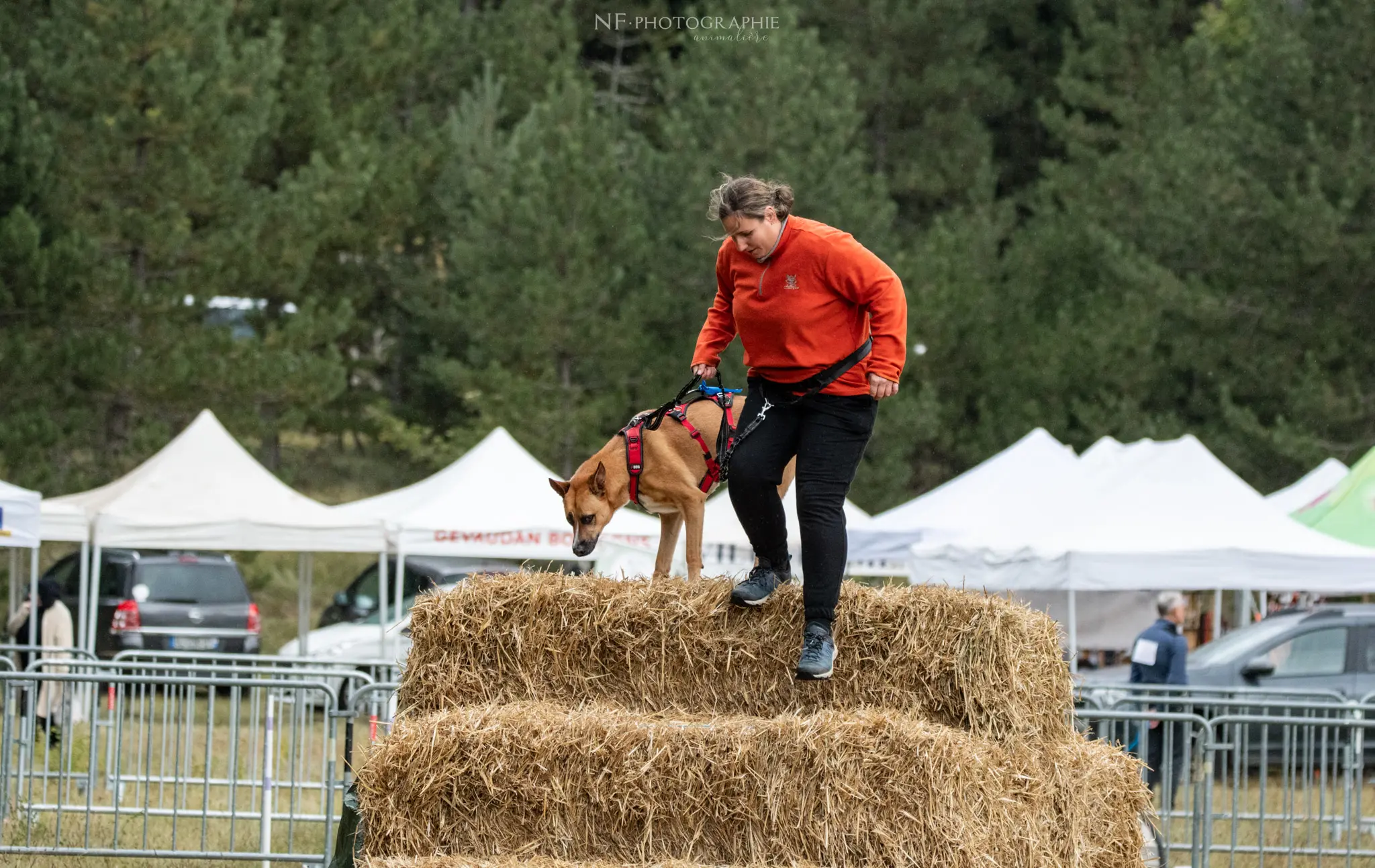 Cani-Parcours - Édition 2024 - Canifun