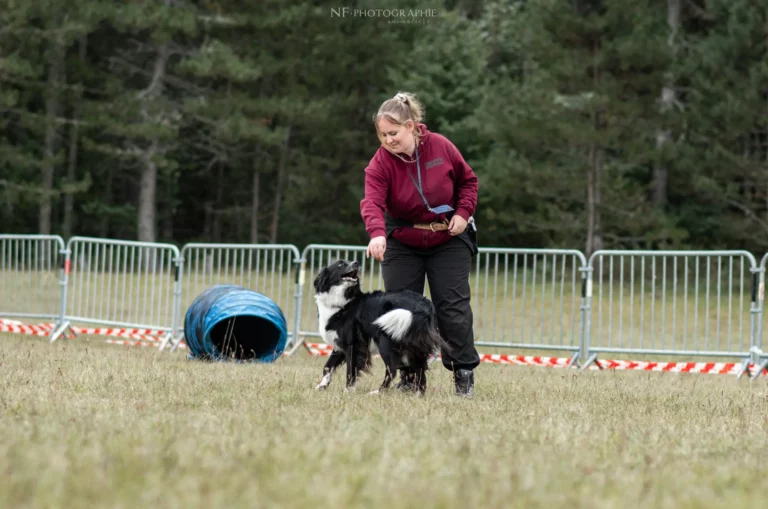 Dog Dancing - Édition 2024 - Canifun