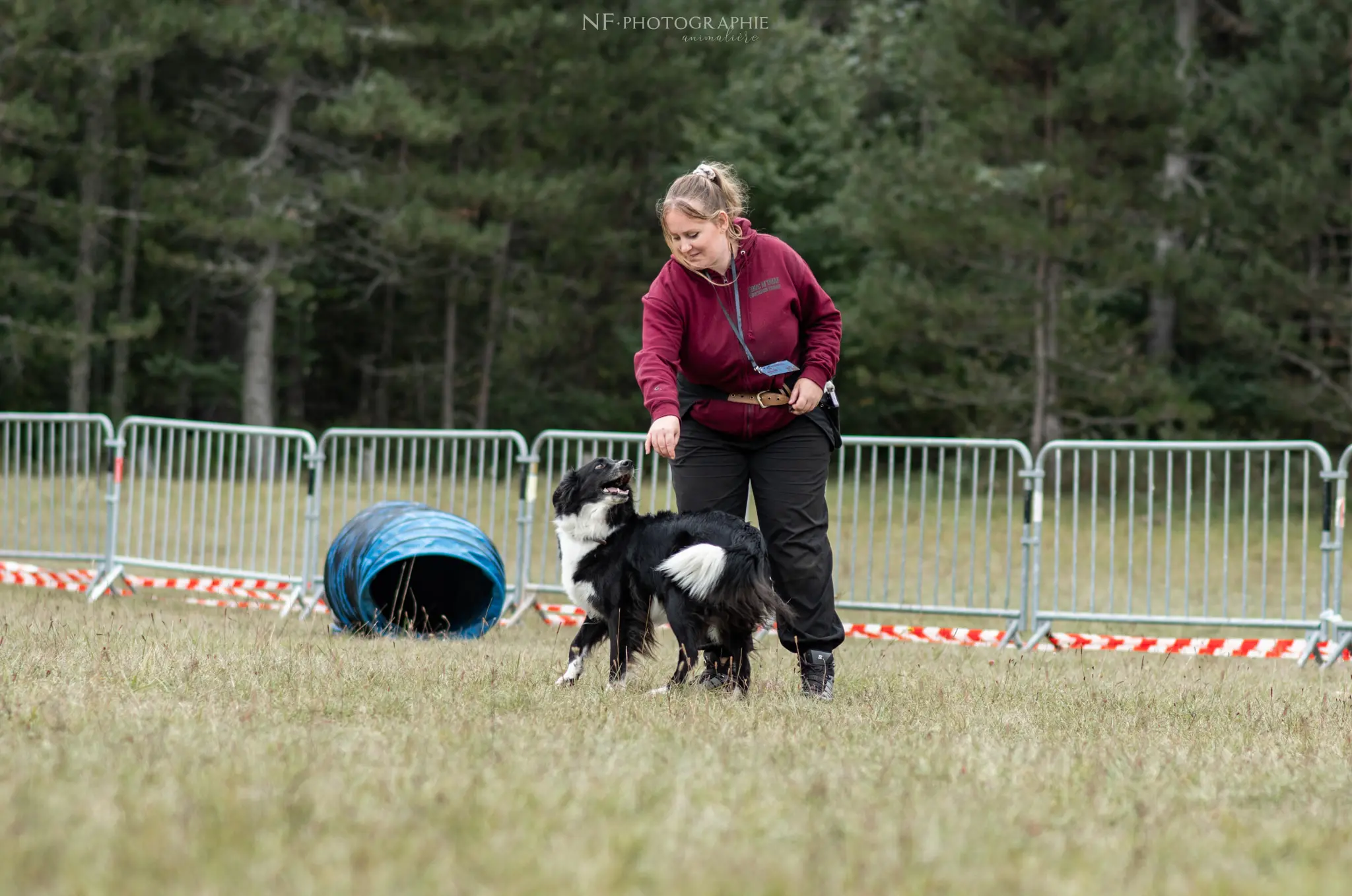 Dog Dancing - Édition 2024 - Canifun