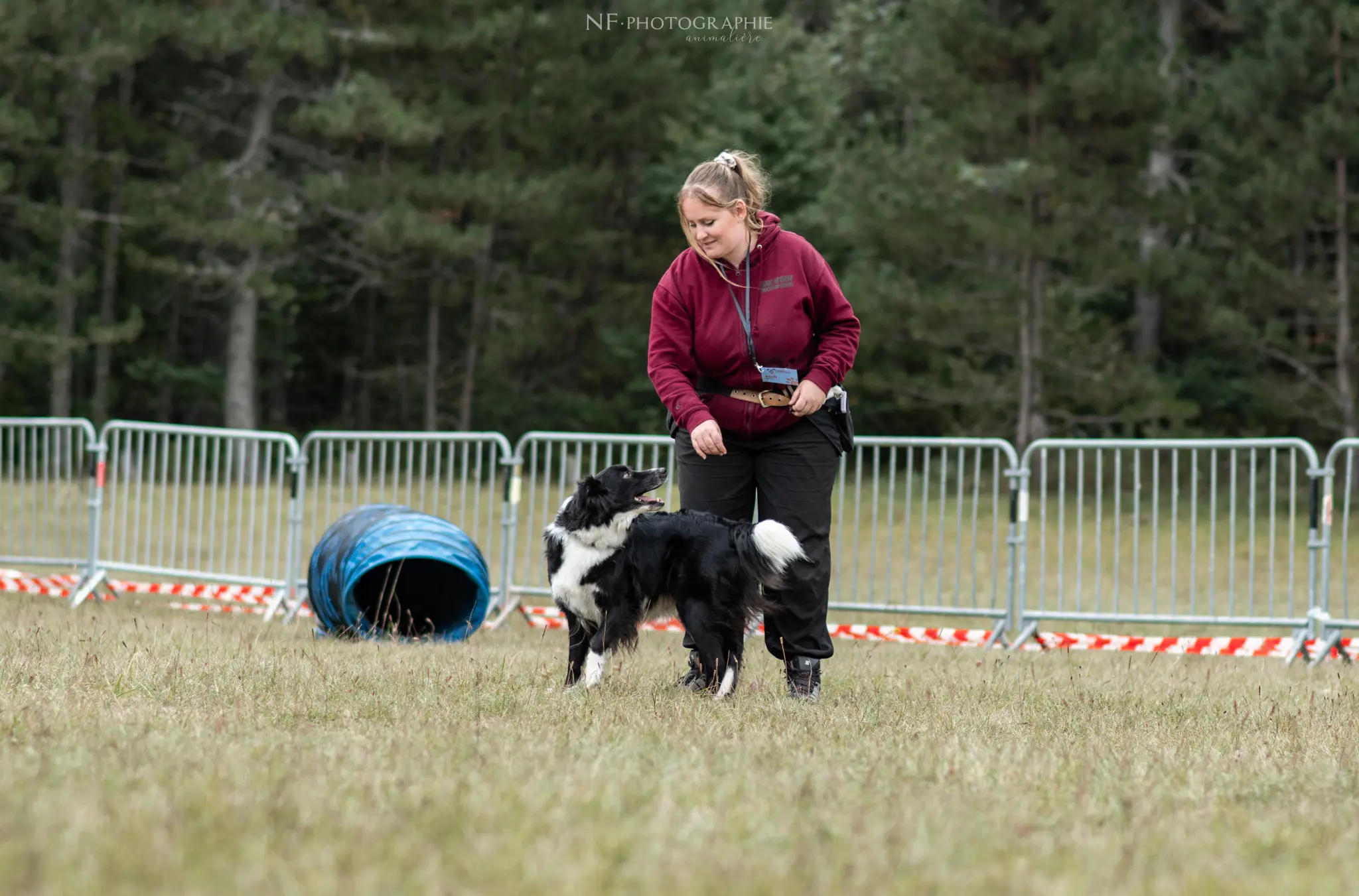 Dog Dancing - Édition 2024 - Canifun