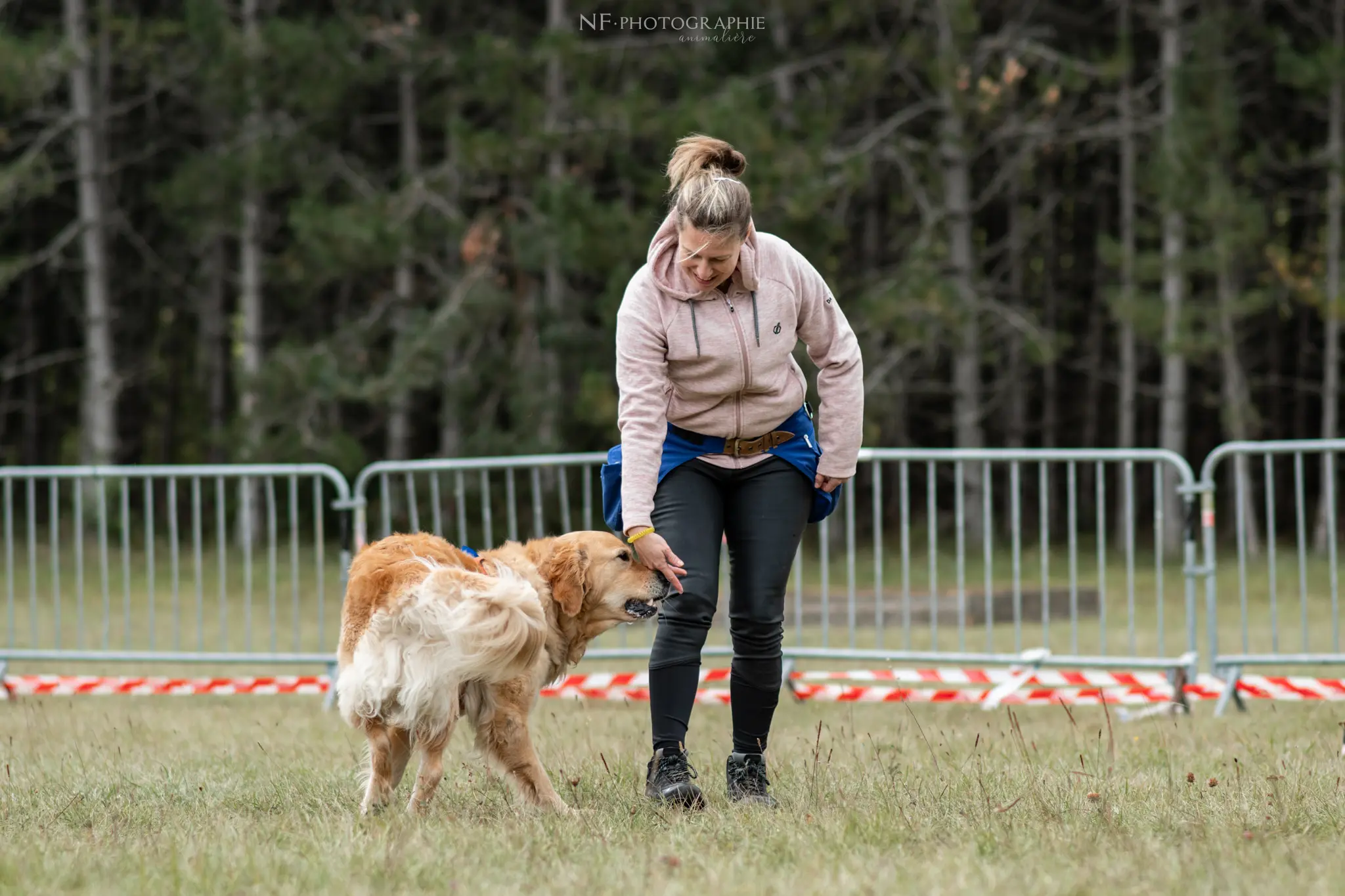 Dog Dancing - Édition 2024 - Canifun