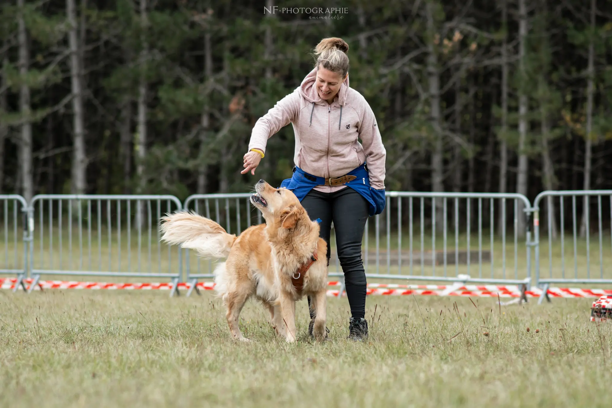 Dog Dancing - Édition 2024 - Canifun