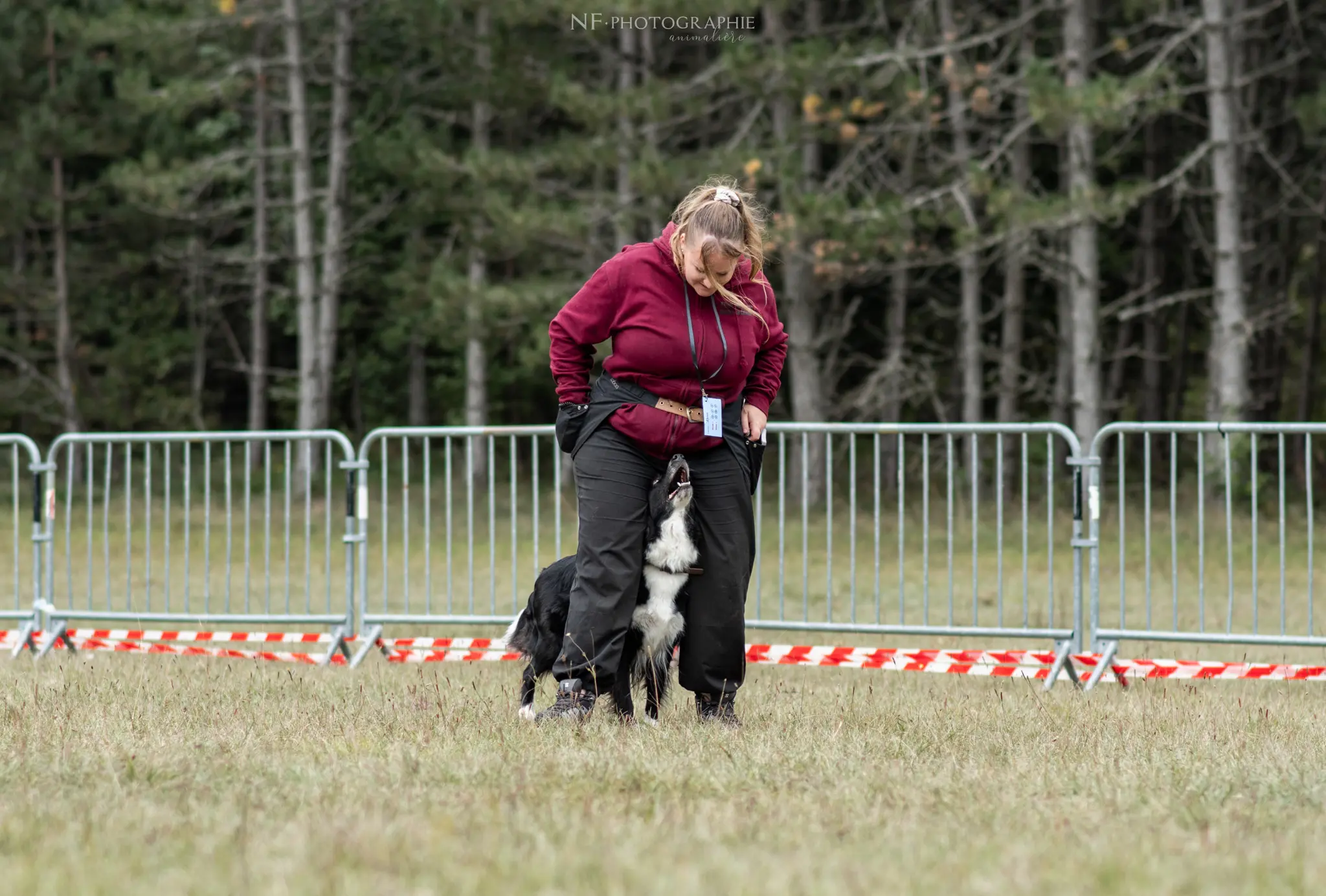 Dog Dancing - Édition 2024 - Canifun