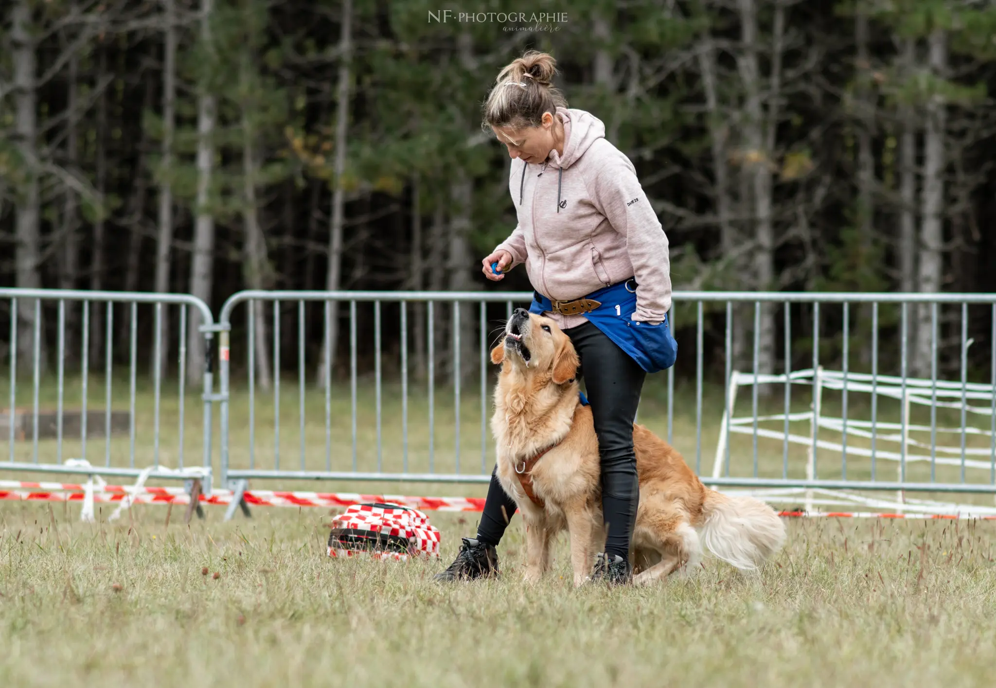 Dog Dancing - Édition 2024 - Canifun