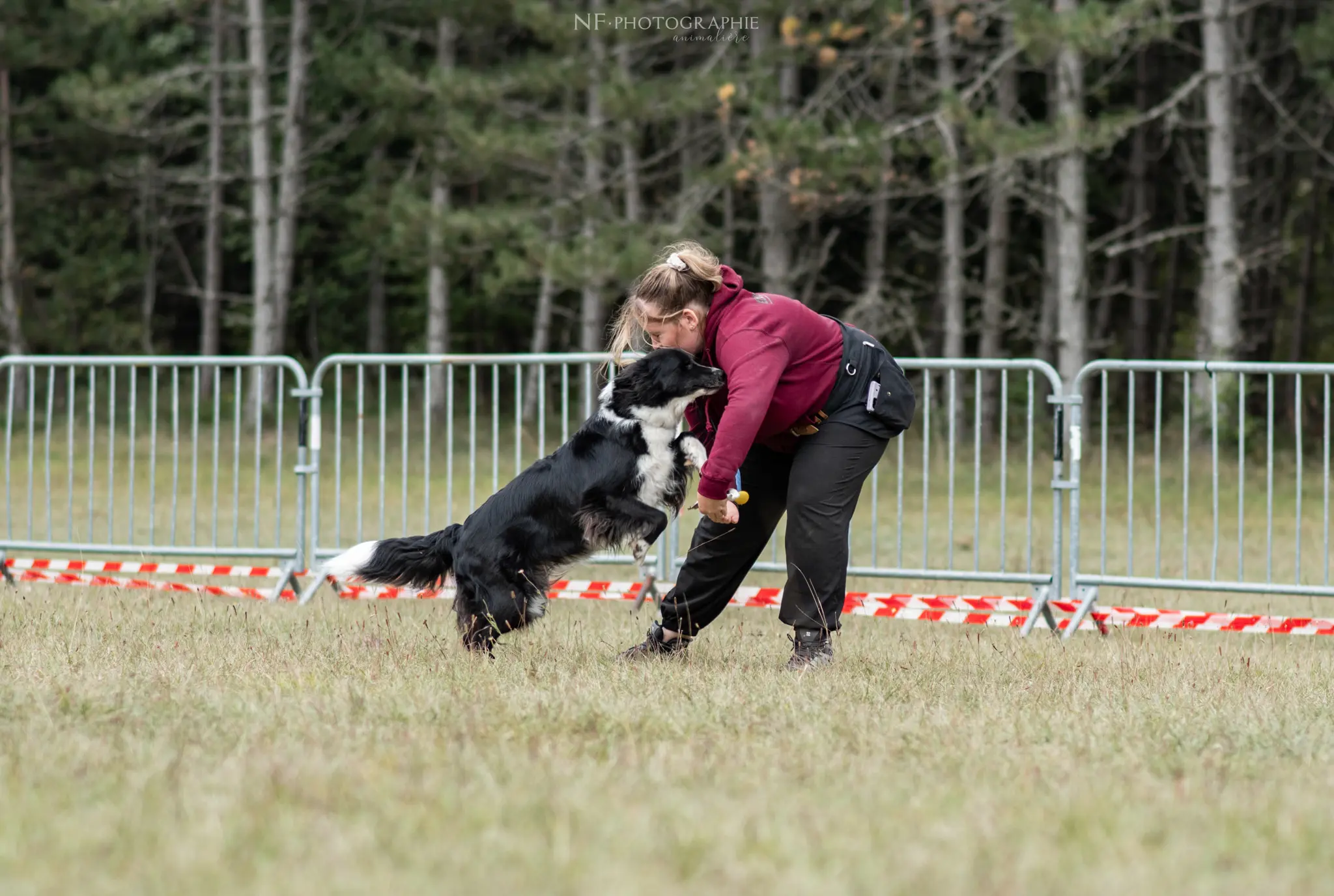 Dog Dancing - Édition 2024 - Canifun