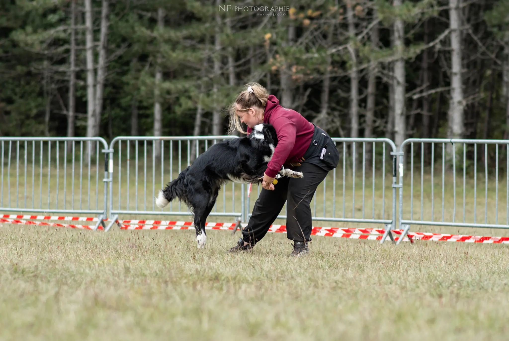 Dog Dancing - Édition 2024 - Canifun