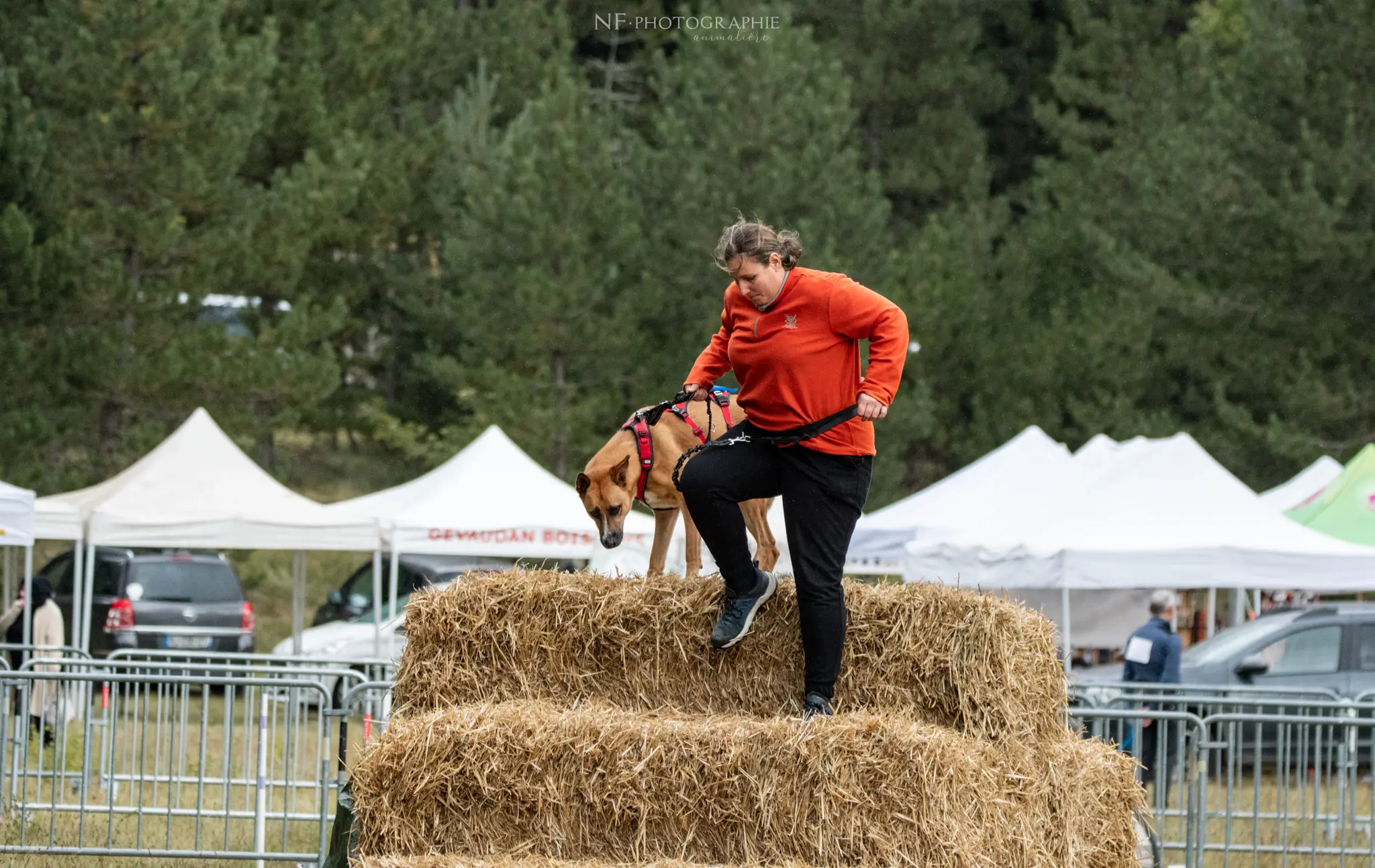 Cani-Parcours - Édition 2024 - Canifun