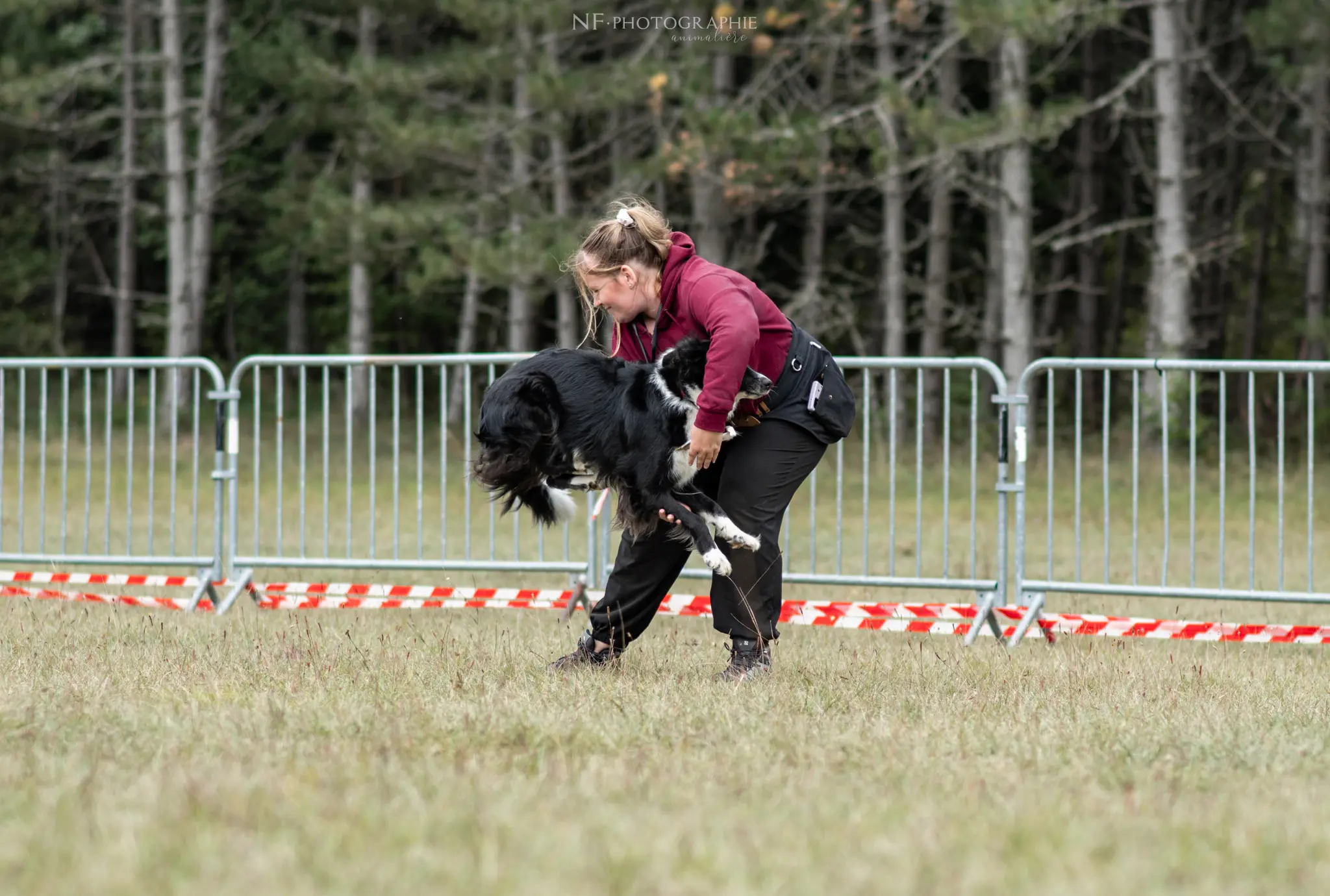 Dog Dancing - Édition 2024 - Canifun