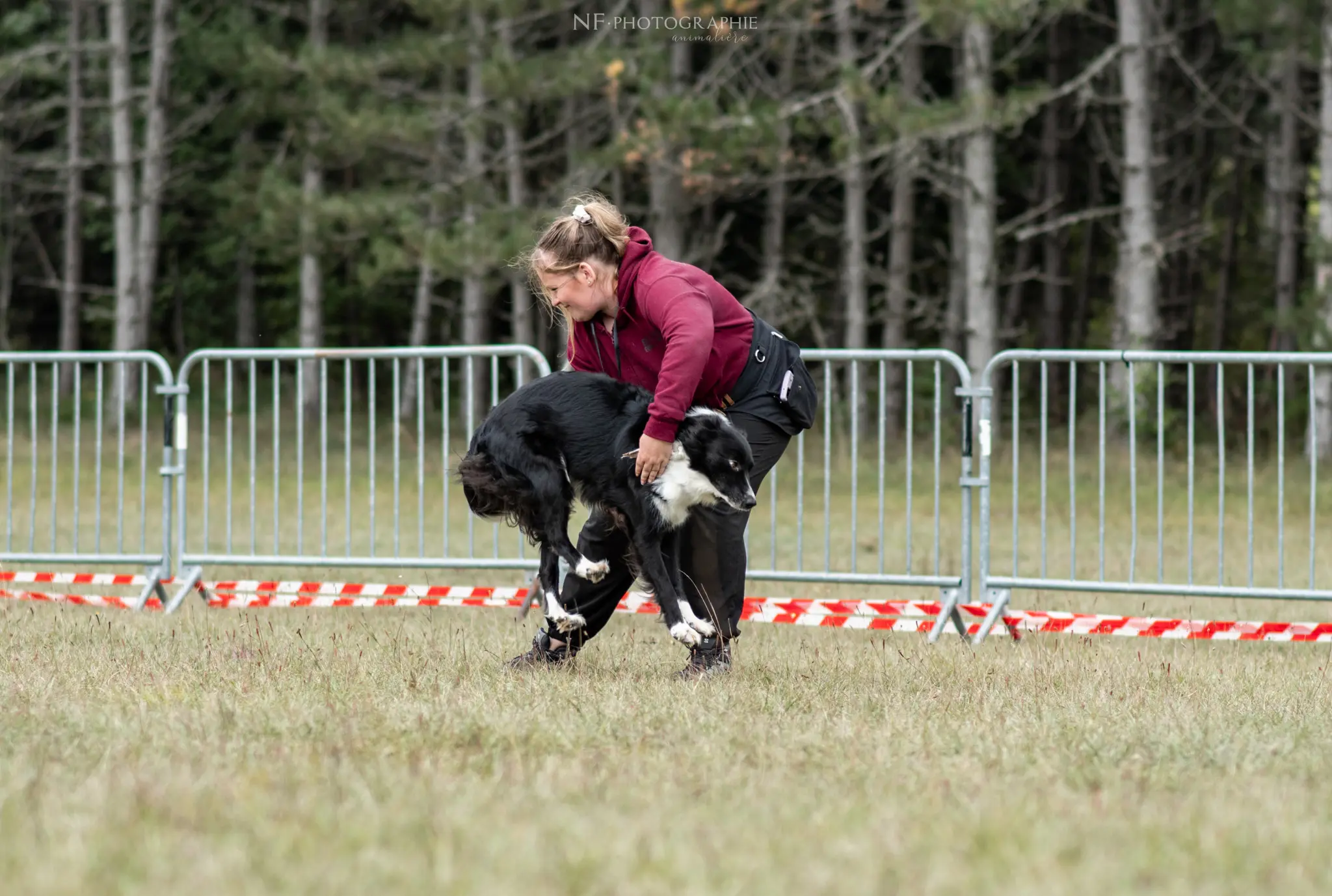 Dog Dancing - Édition 2024 - Canifun