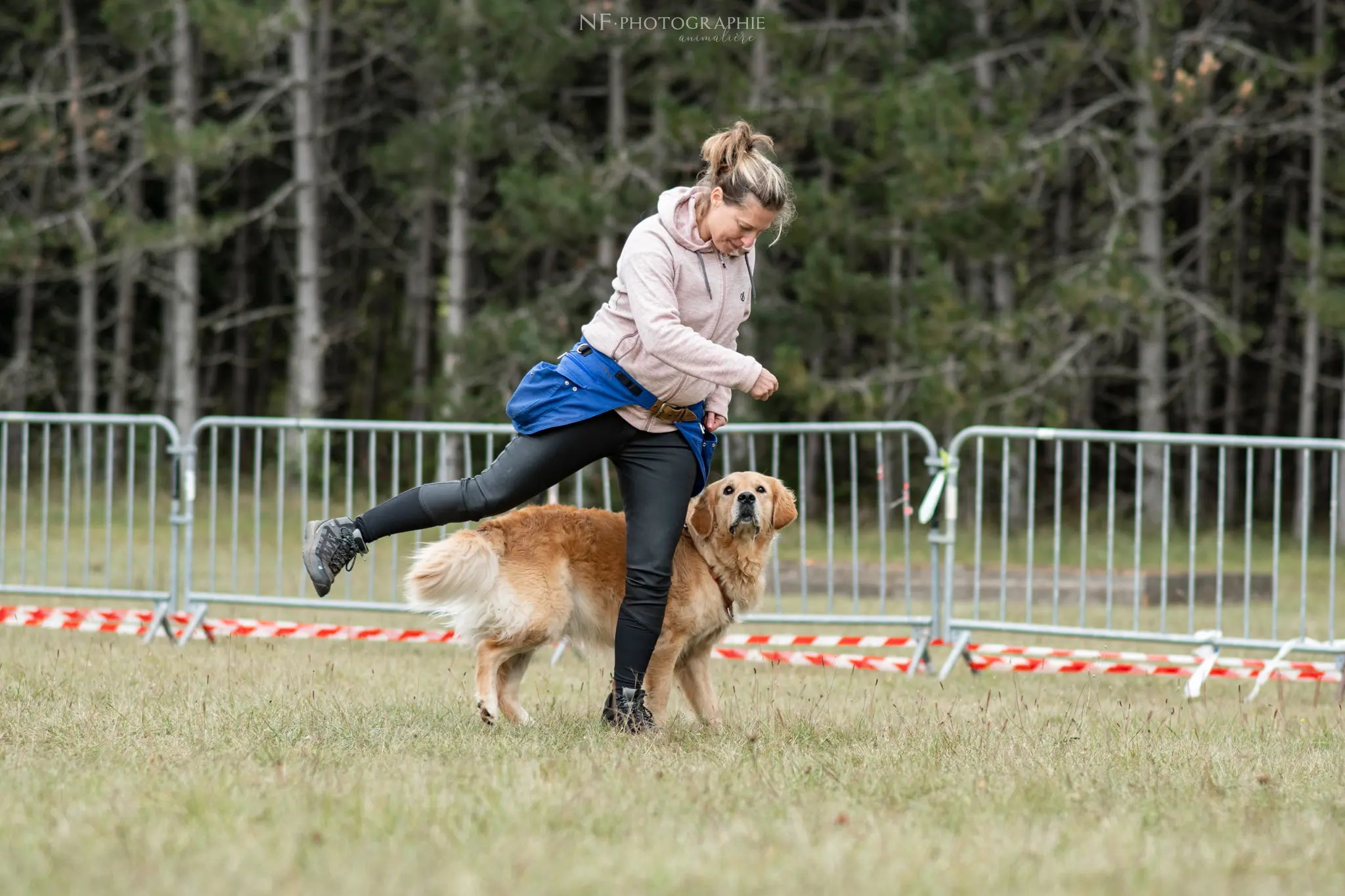 Dog Dancing - Édition 2024 - Canifun