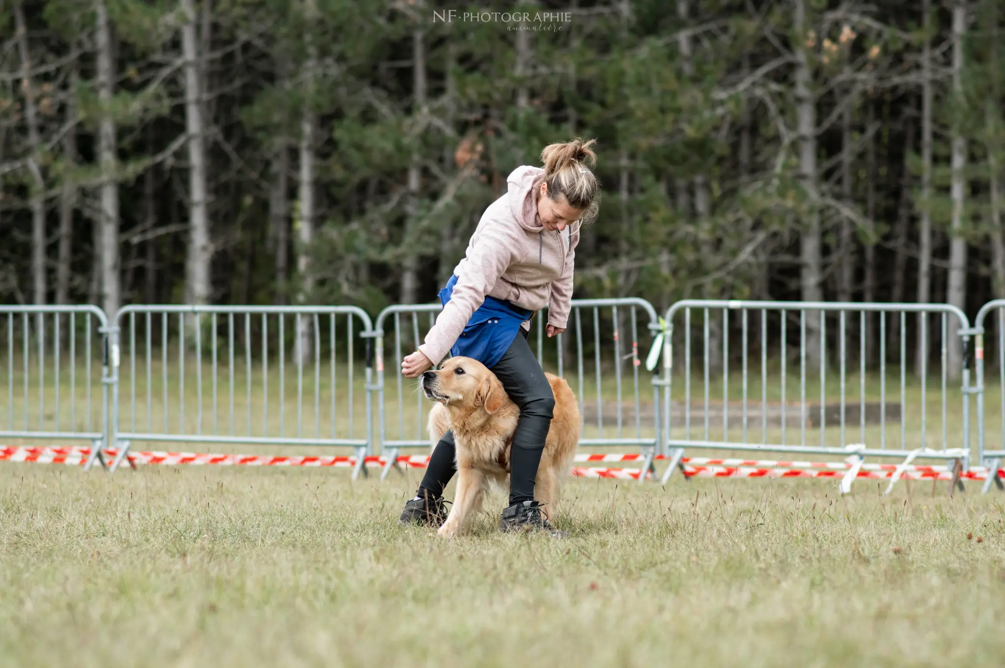 Dog Dancing - Édition 2024 - Canifun